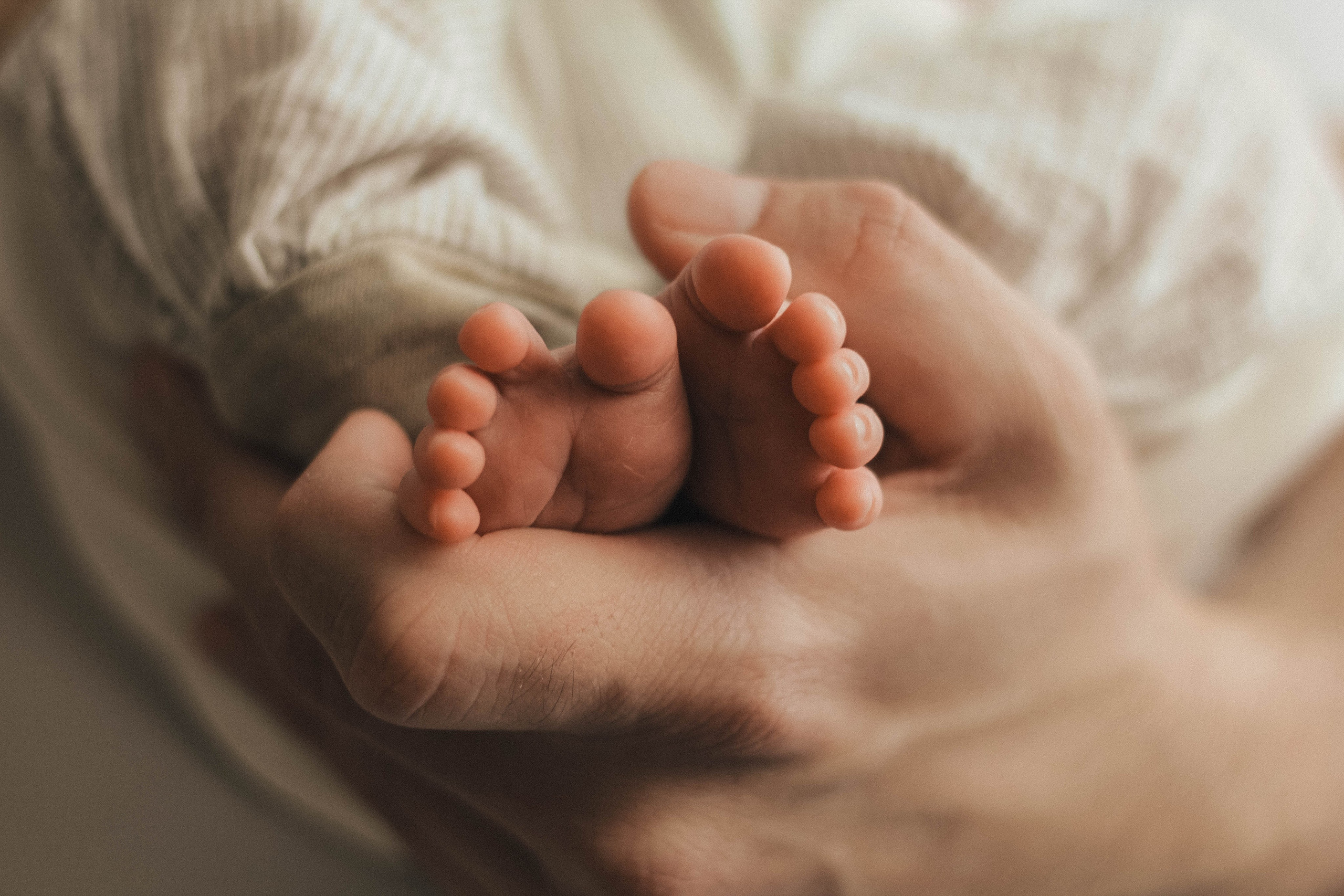 Новорожденные. Фотограф Александр Солнечный