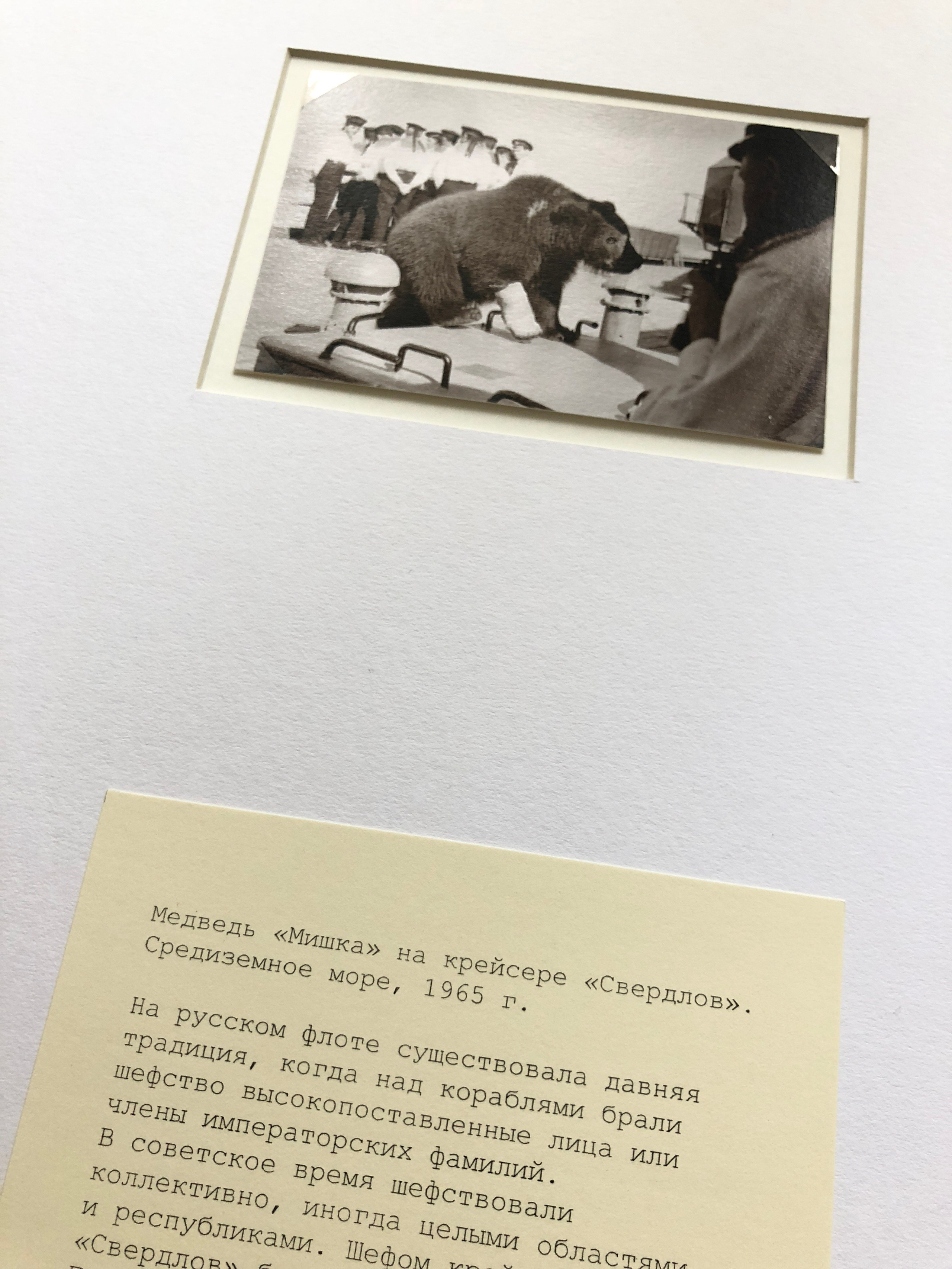 ◽ Соленый альбом. Елена Аносова — художница и исследовательница, куратор и лектор