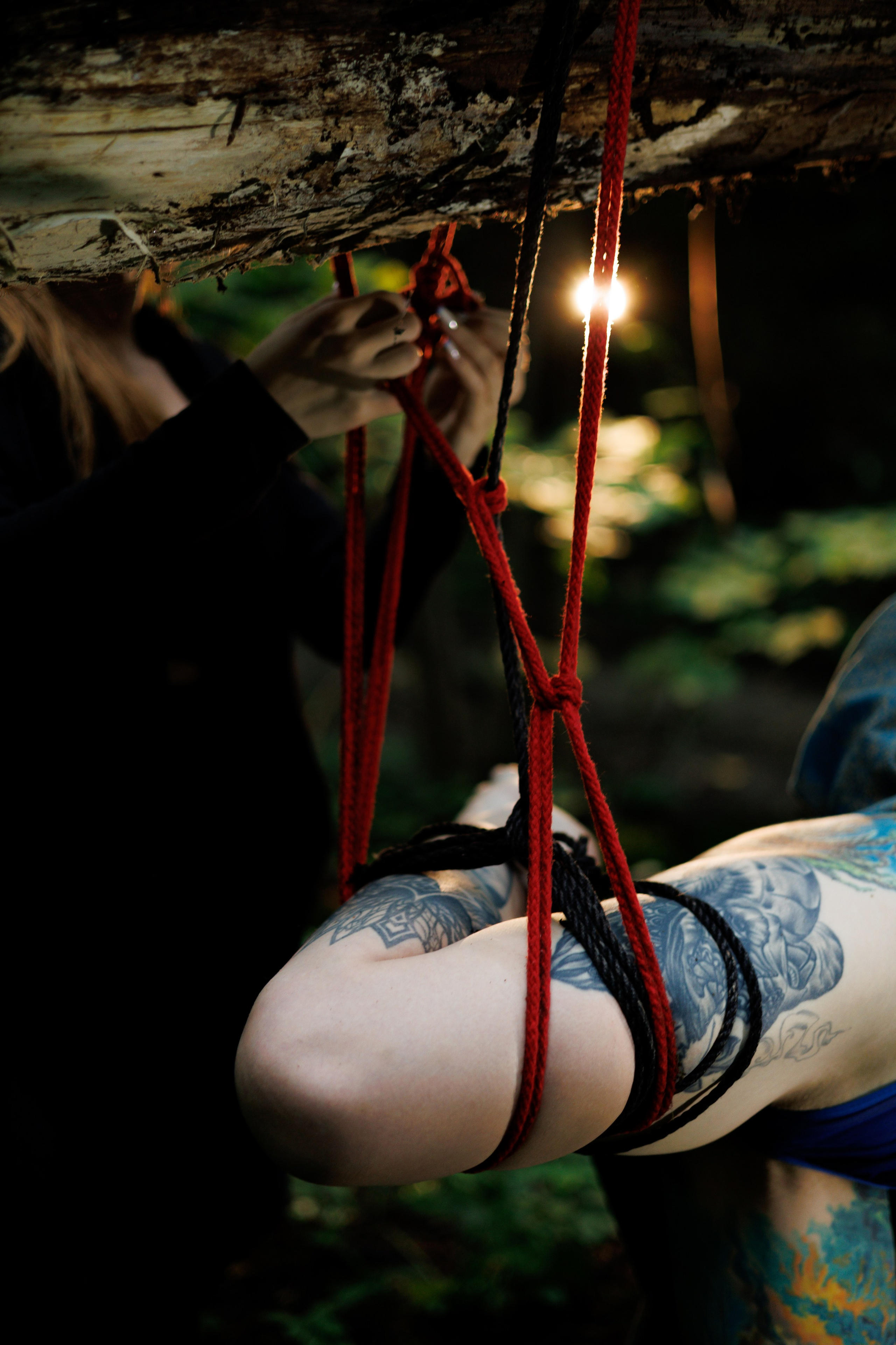 Индивидуальная портретная фотосессия в лесу