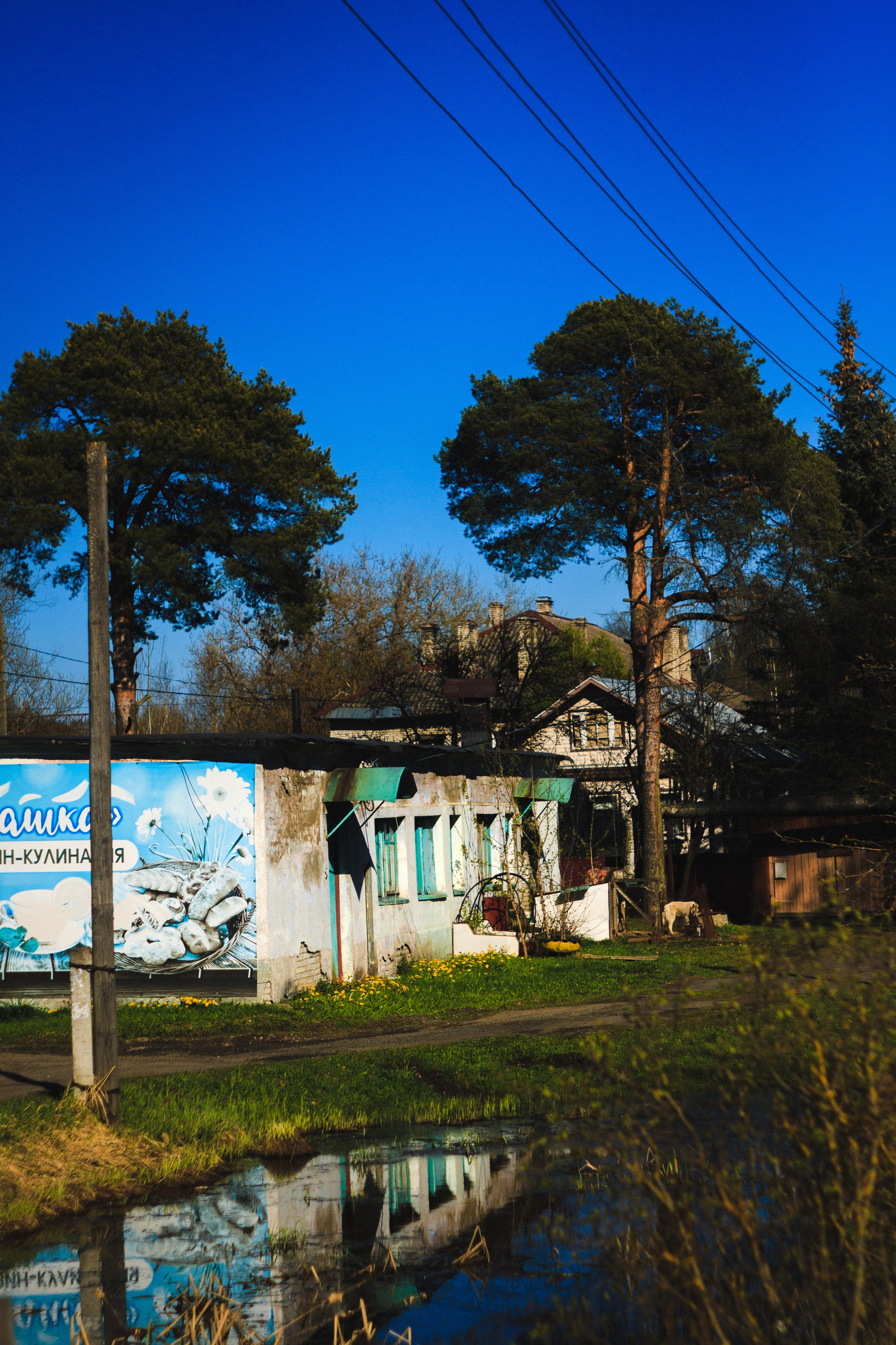 Strawberry. Den Mirov — Photographer, Musician