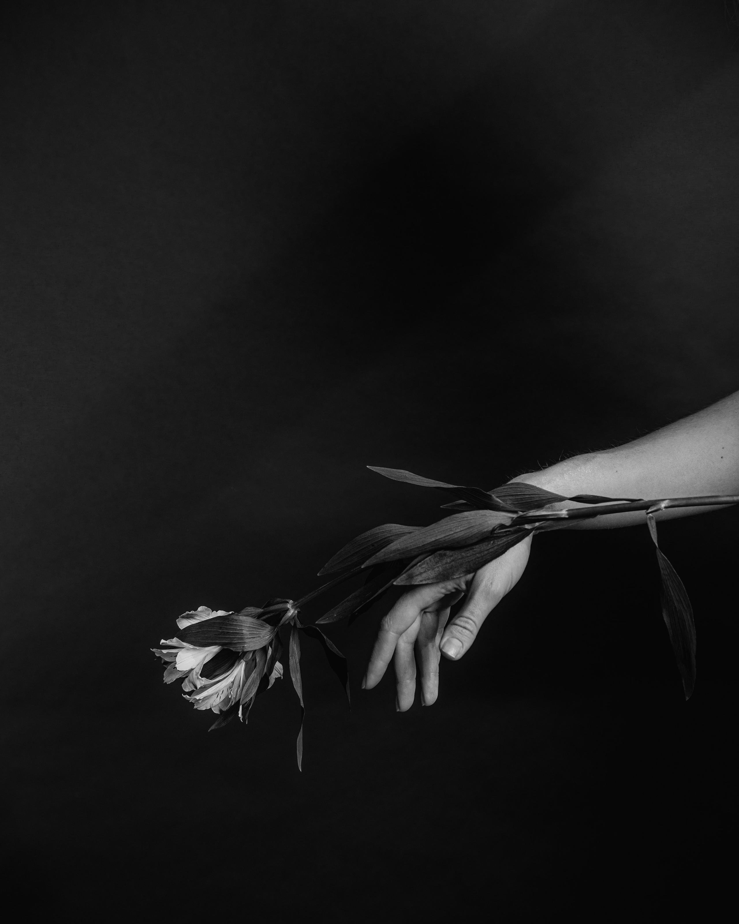 Фотограф Маша Ривер Щелково Москва