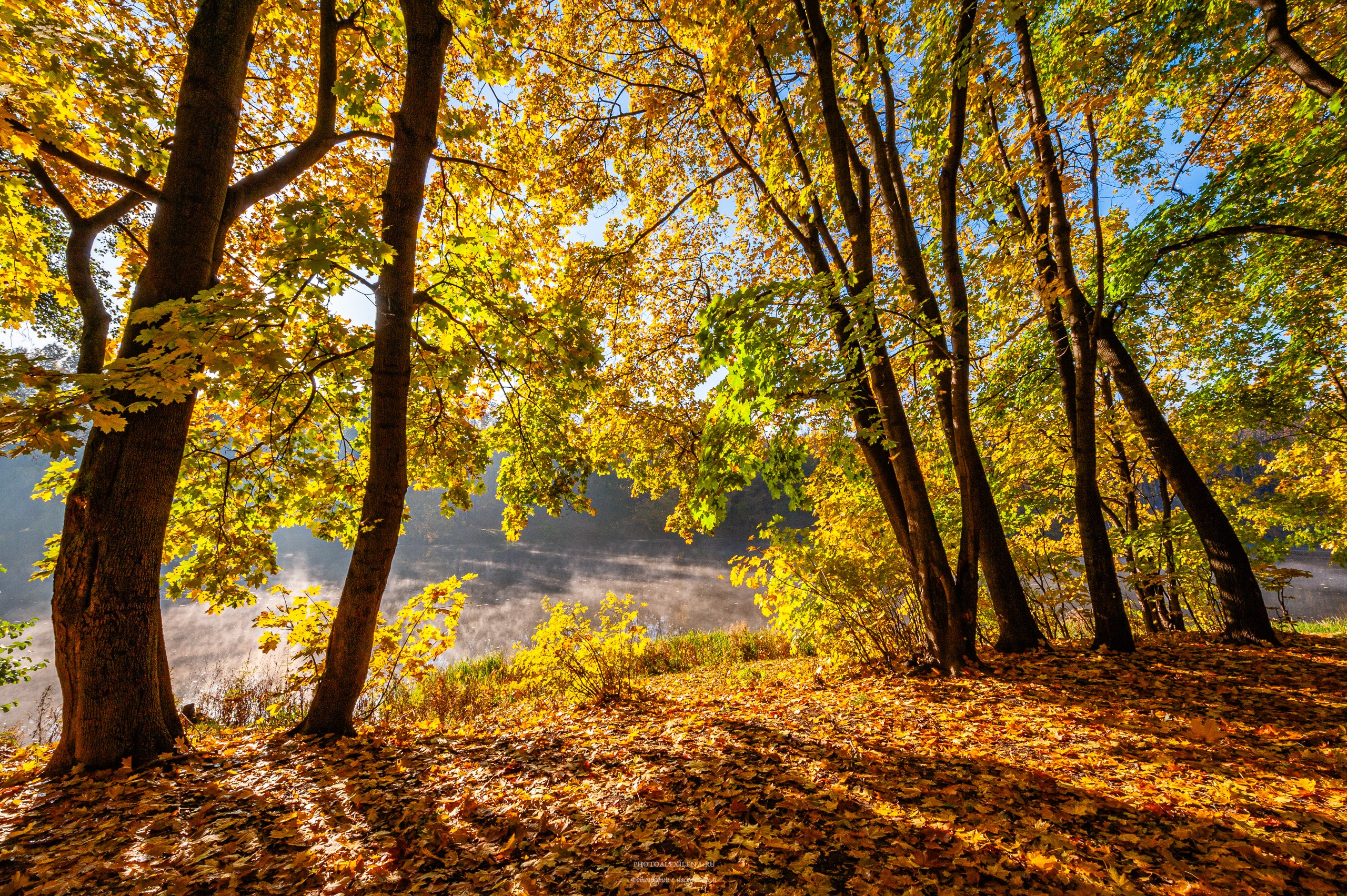 Что такое осень?. Авторские стильные фотокартины