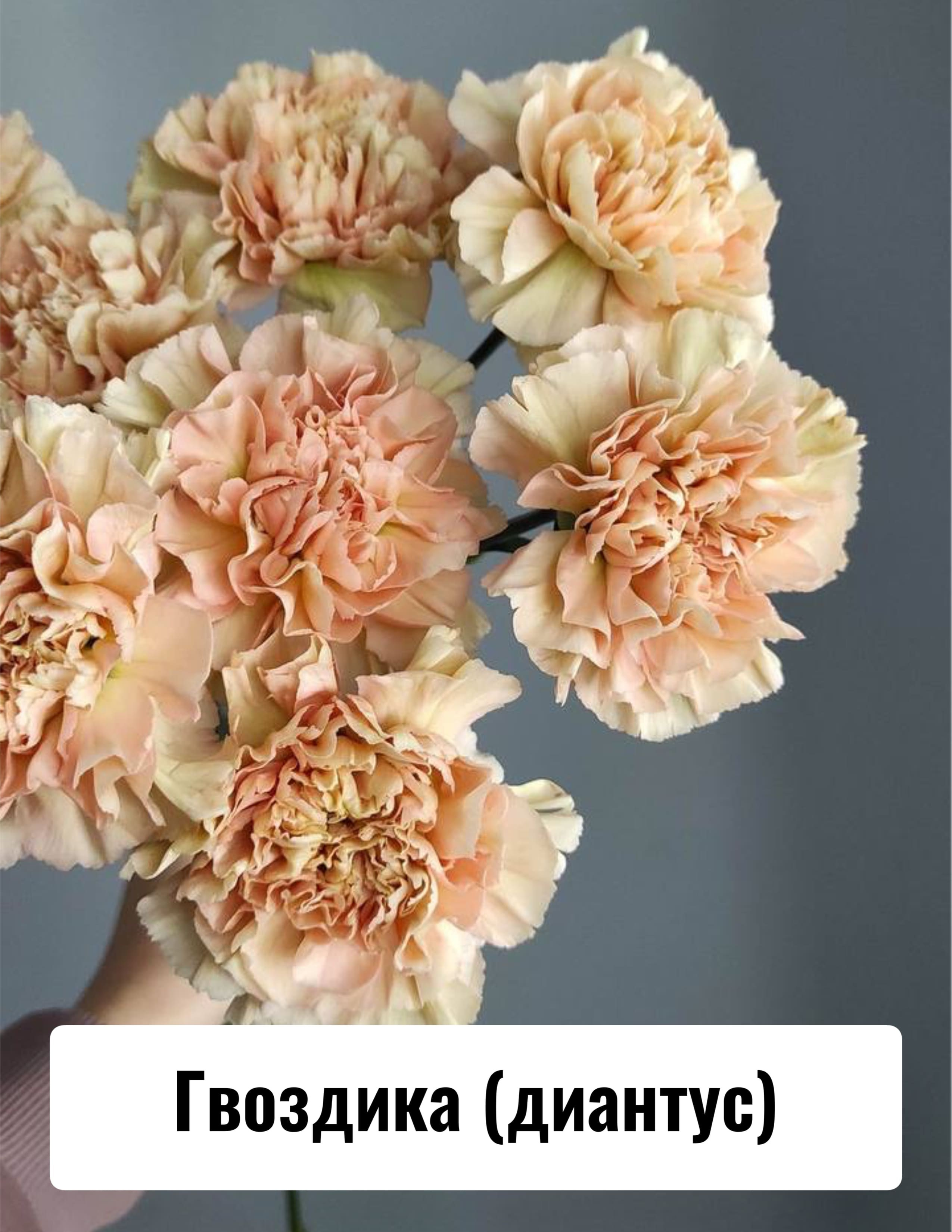 Приглашение на свадьбу