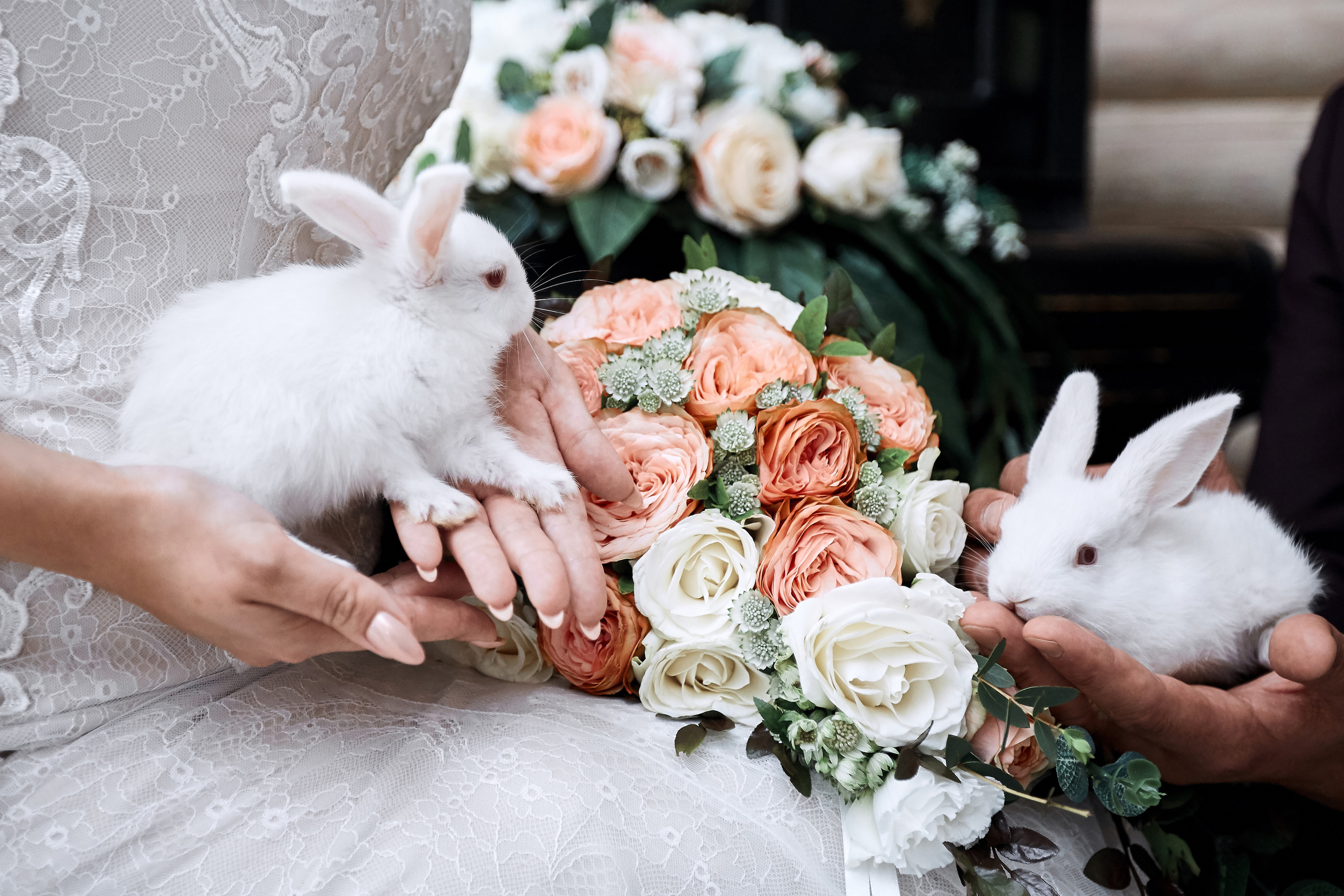 Выездная регистрация + банкет (6 часов): Дарья и Данила. Фотограф в Москве Эльза Хасанова