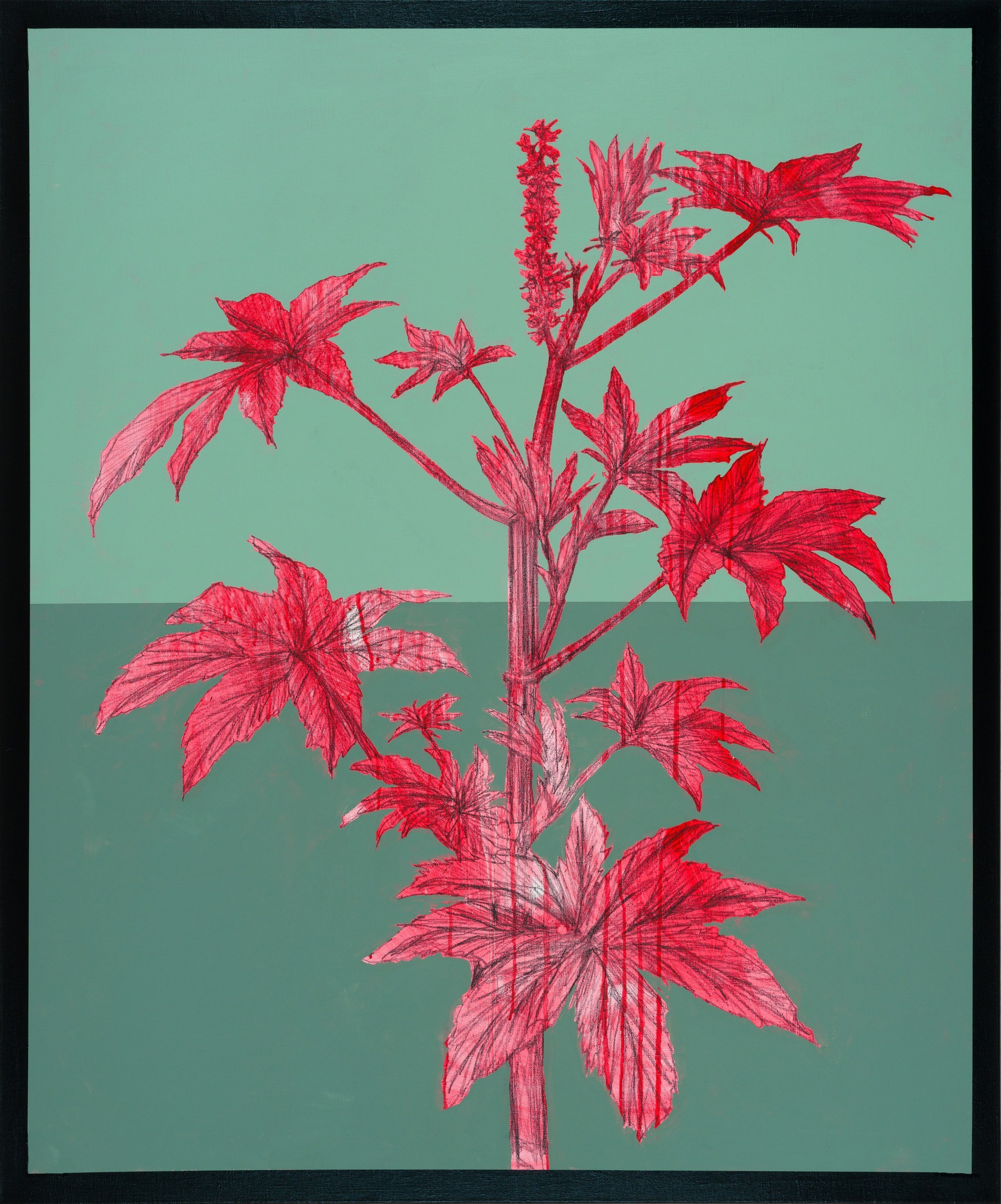 Репродукционная фотография. Фотограф Саша Оверчук