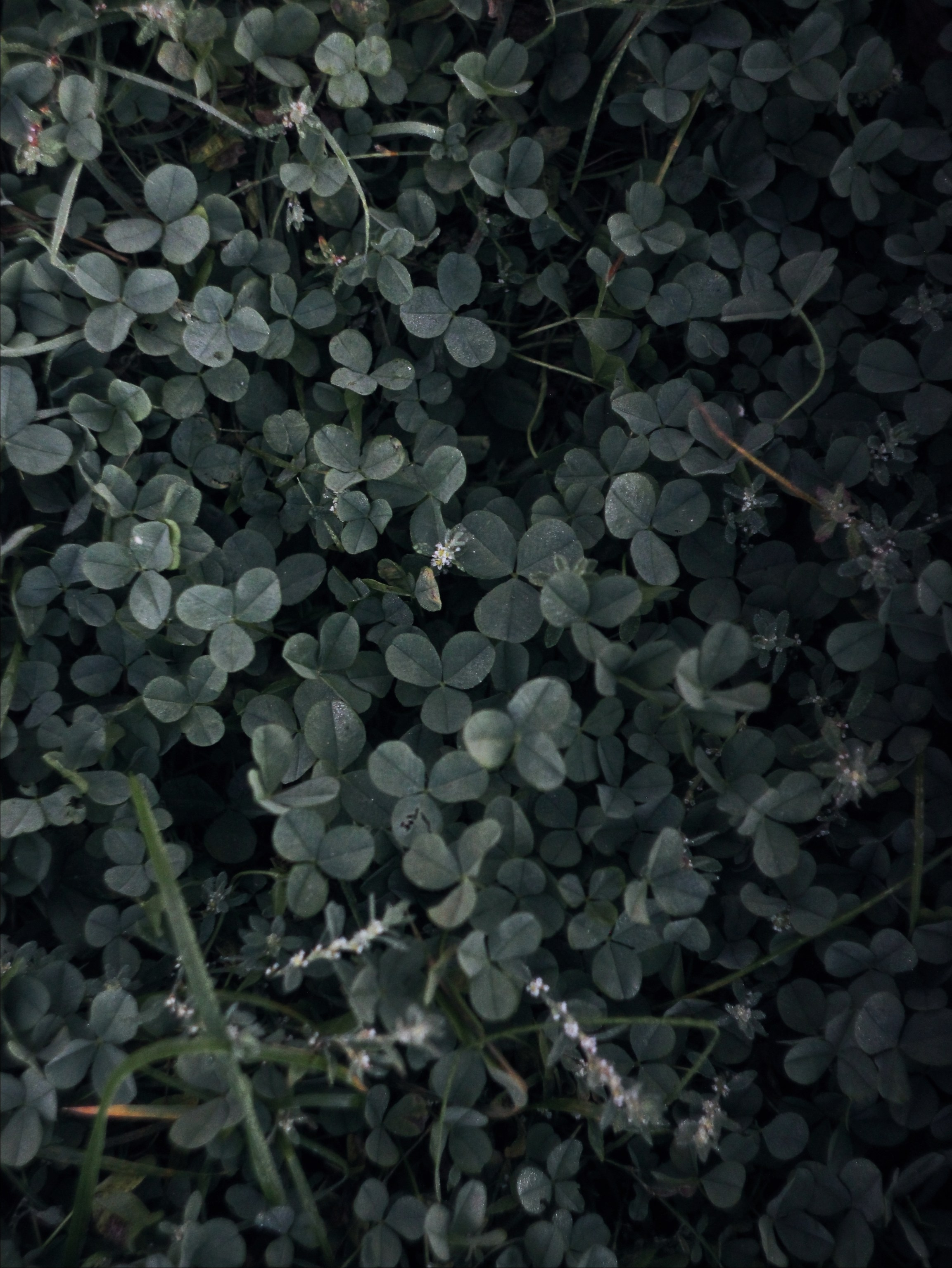 Опустошенность. С любовью, фотохудожник