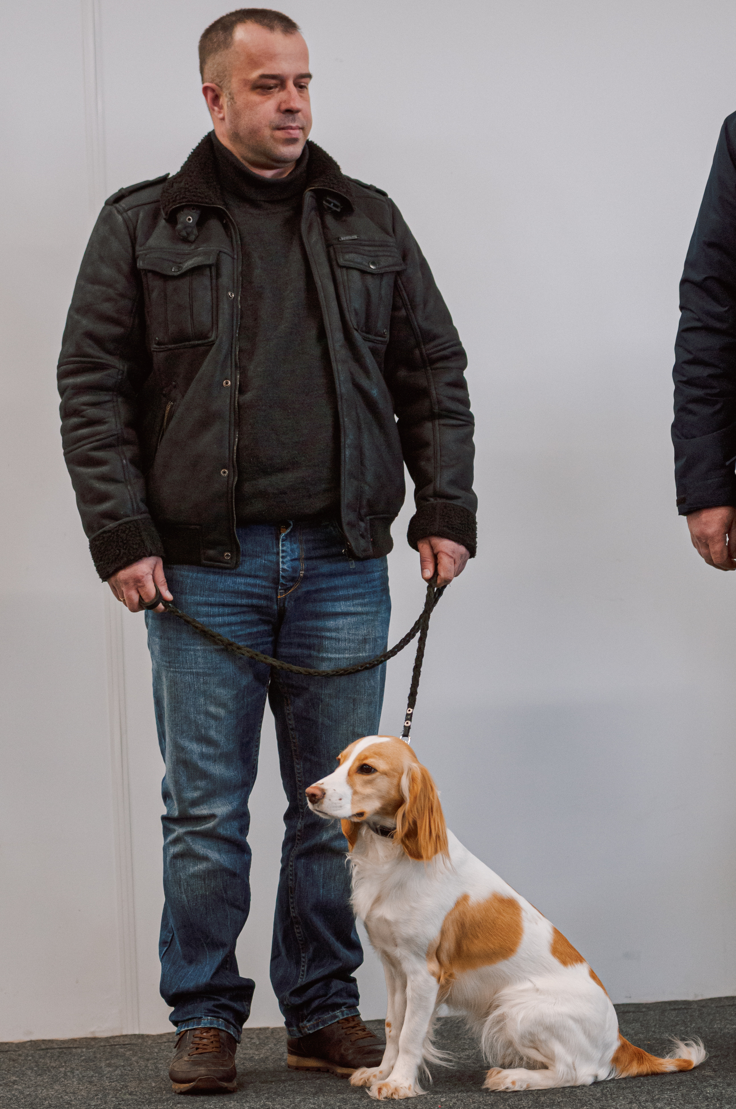 Выставка охотничьих собак. Мотофотограф в Нижнем Новгороде Динара Зуйкова