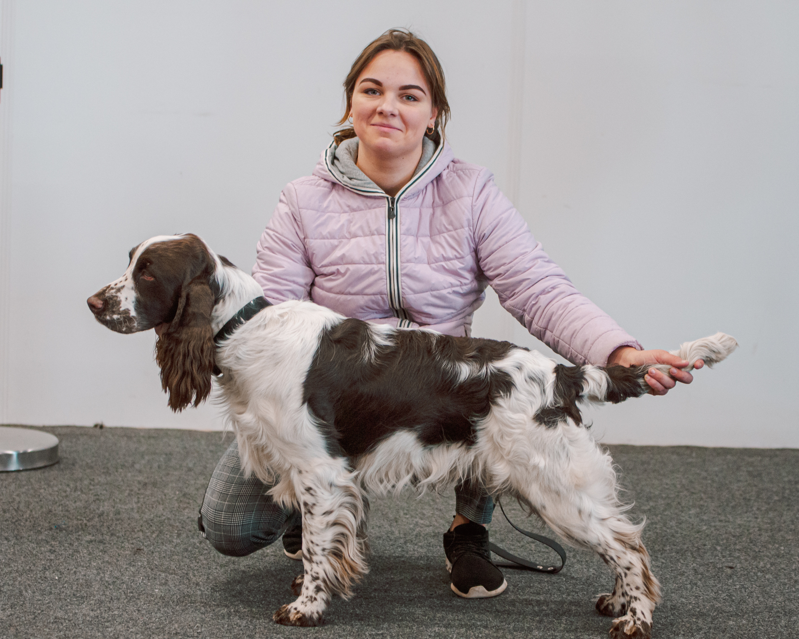 Выставка охотничьих собак. Мотофотограф в Нижнем Новгороде Динара Зуйкова