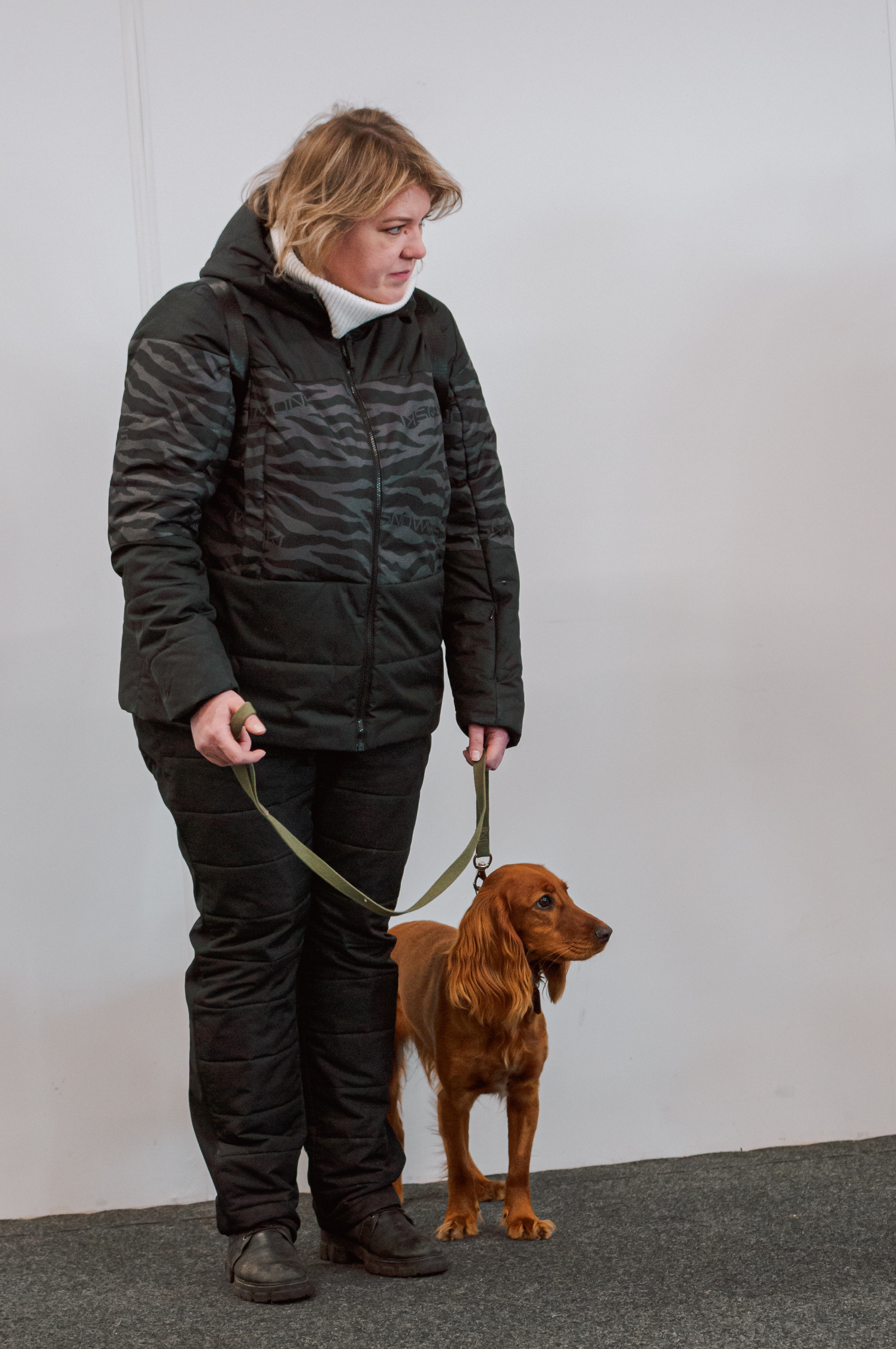 Выставка охотничьих собак. Мотофотограф в Нижнем Новгороде Динара Зуйкова