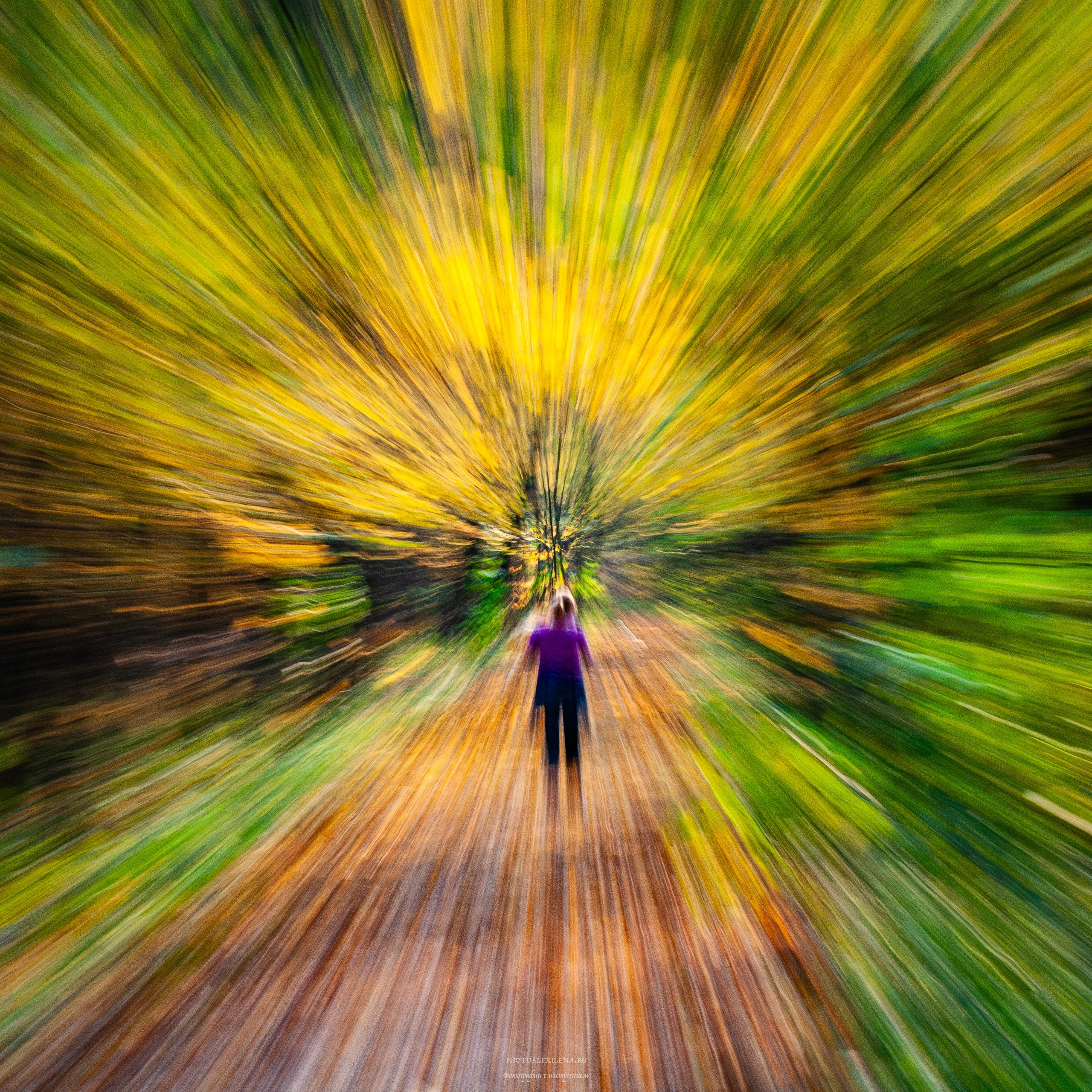 Что такое осень?. Авторские стильные фотокартины