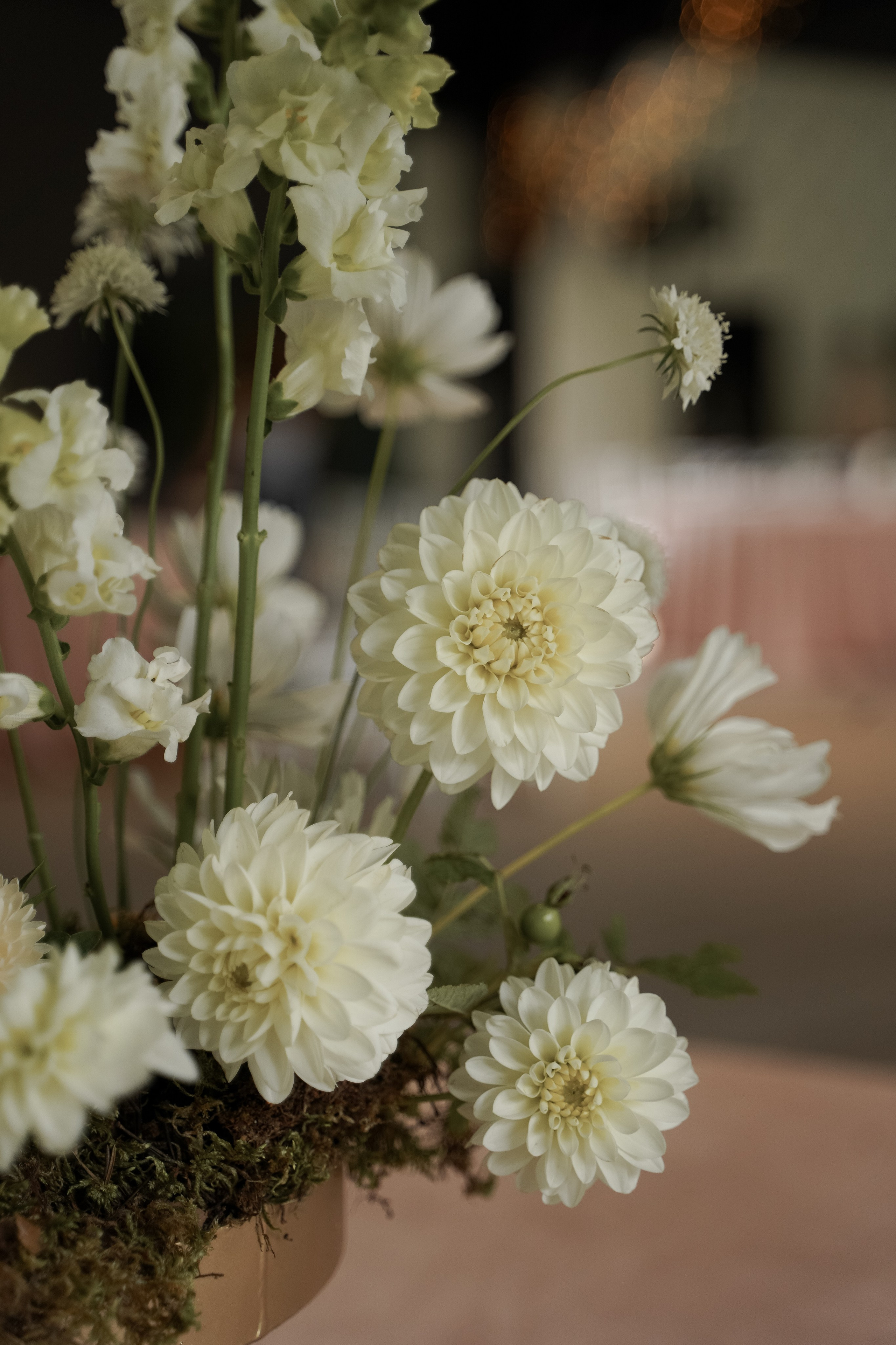 Анна и Андрей. Свадебный фотограф Марина Попова