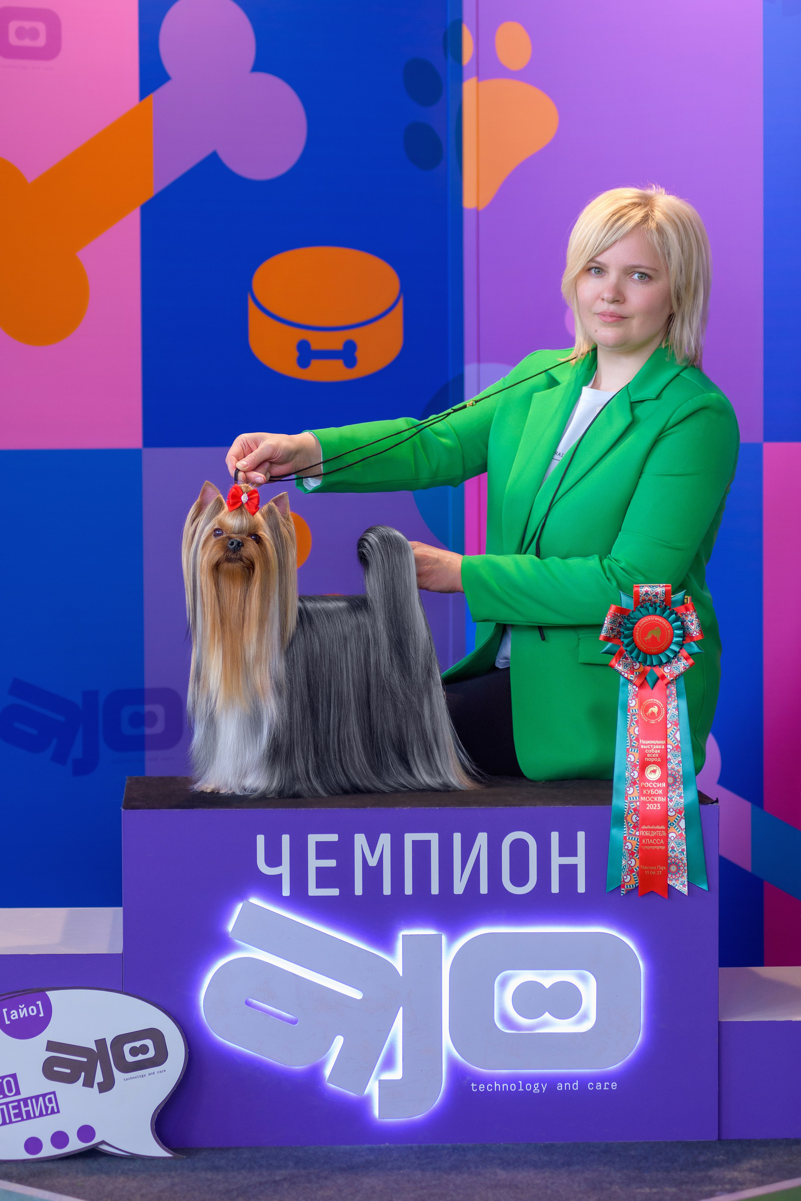 Йоркширский терьер. Выставки. Питомник Воле'Т Шоу Vole'T Shou. Йоркширский терьер — питомник йоркширских терьеров Vole'T Shou