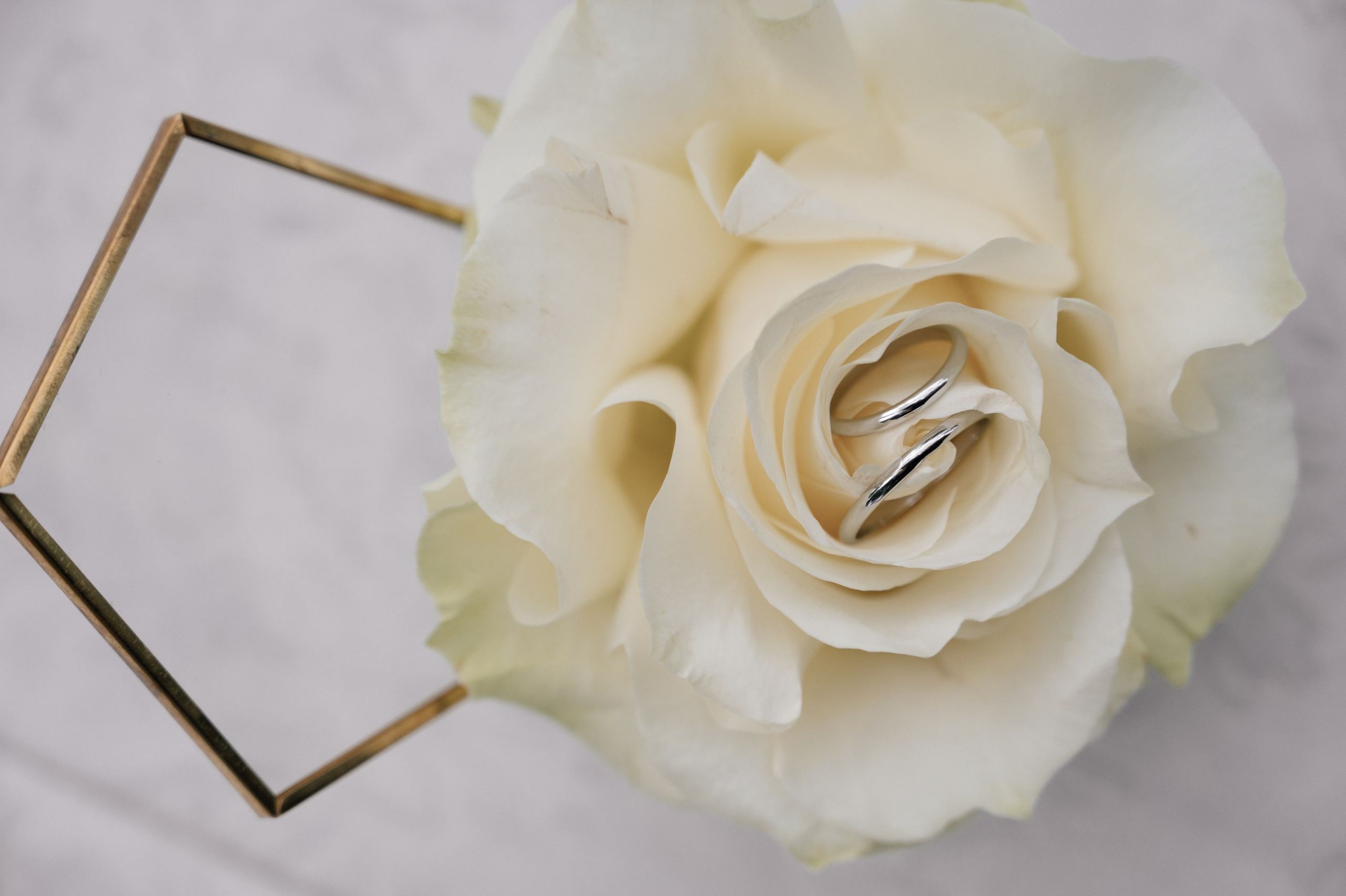 Anna & Boris. Свадебный и семейный фотограф Вероника Холод