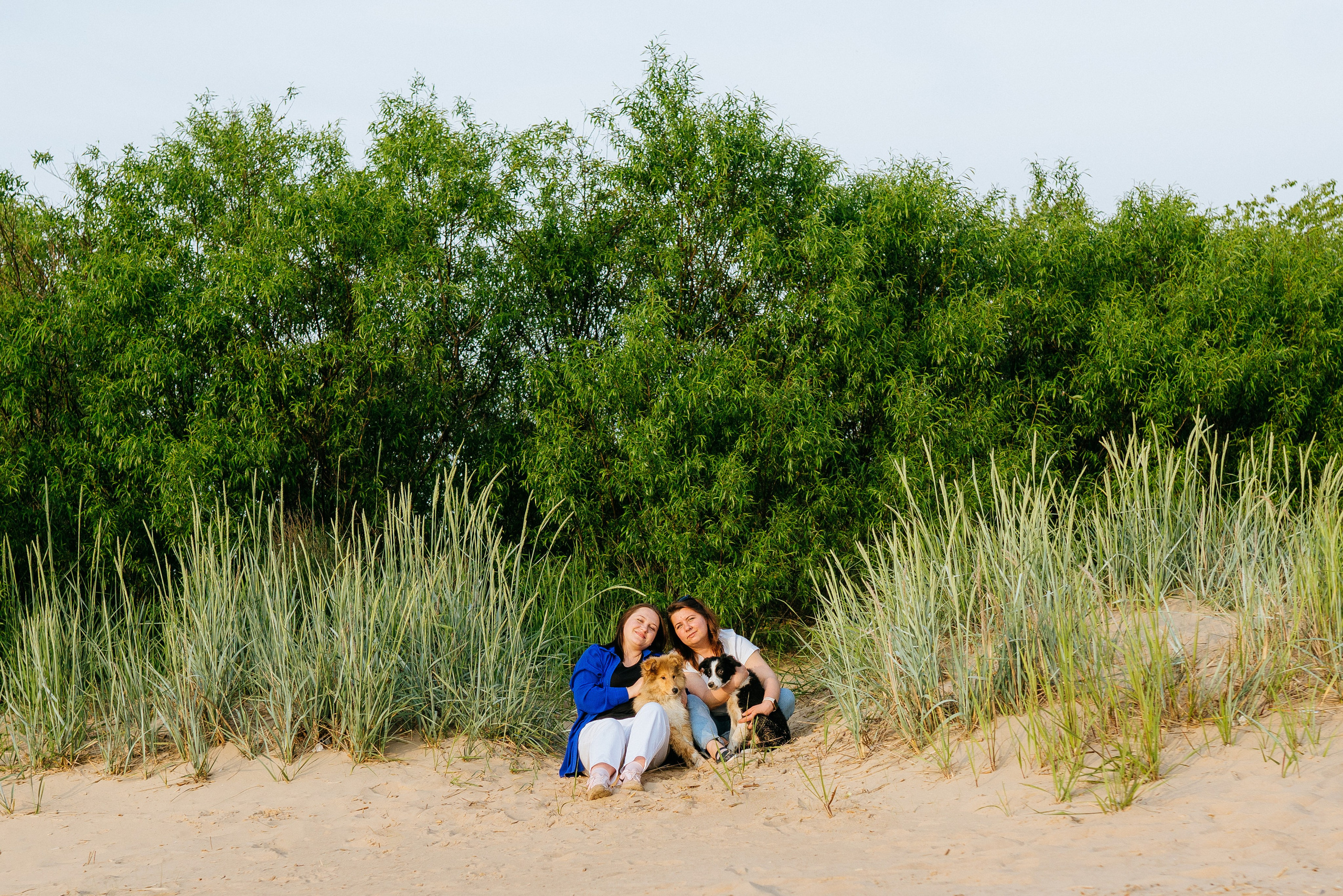 Фотосессия со щенками колли. Фотограф анималист в Спб недорого Олеся Майорова