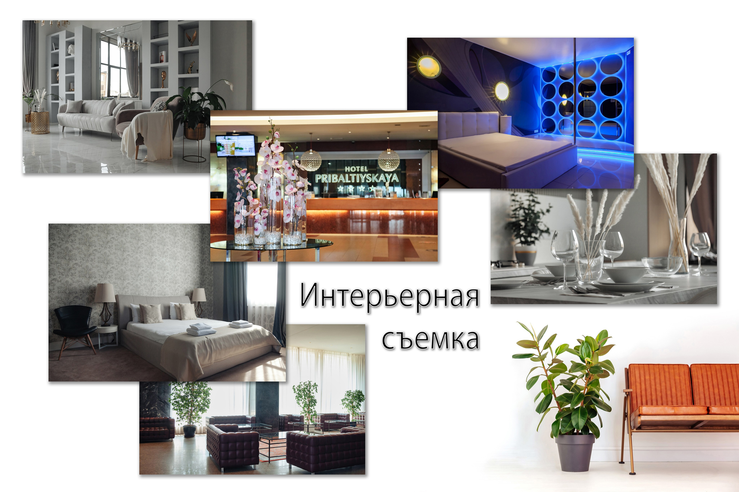 AGarte: фото- и видео съемка в СПб и Москве