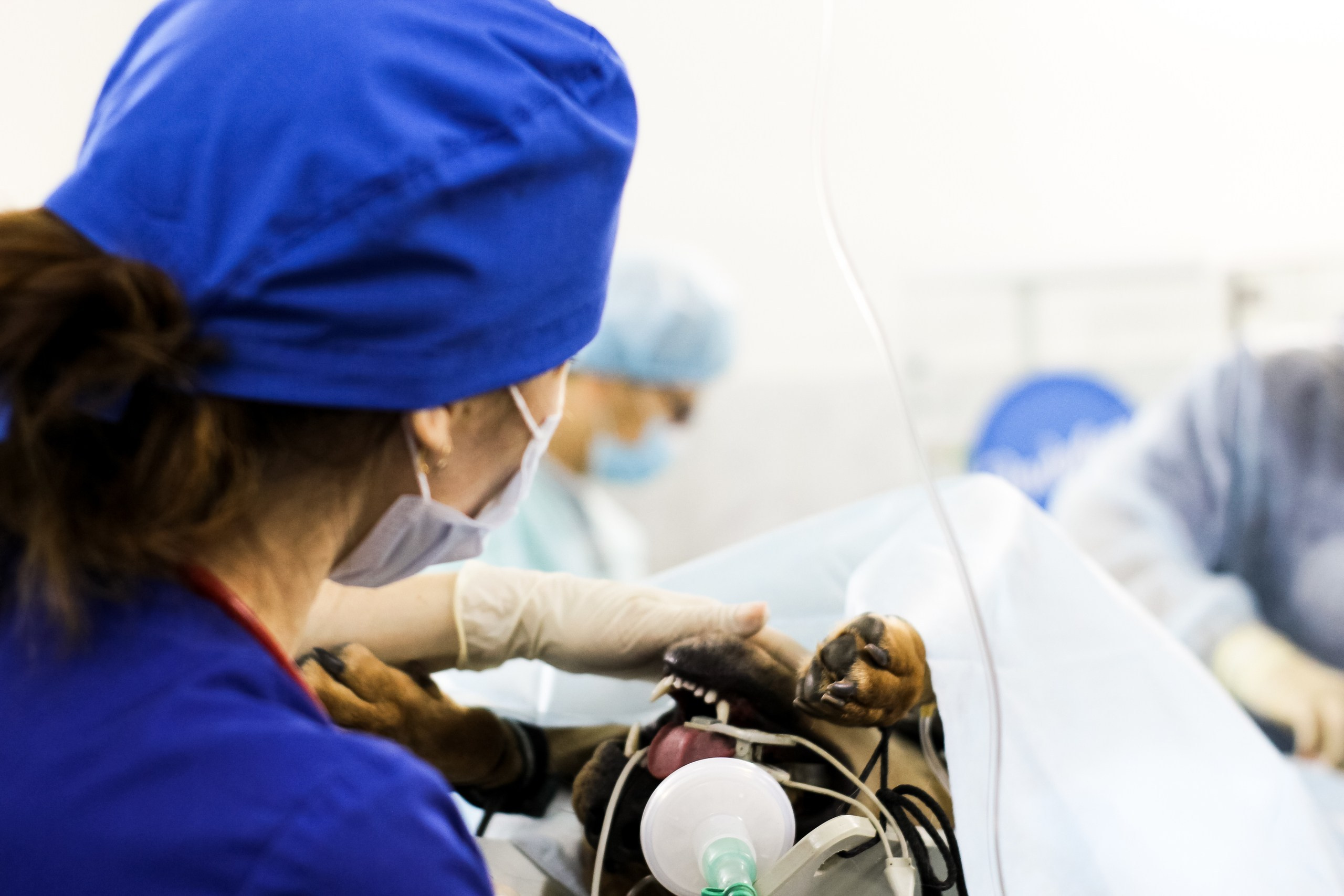 Контент съемка и предметная съемка для продвижения услуг бизнеса. Студия контента «СВОЕ МЕСТО»