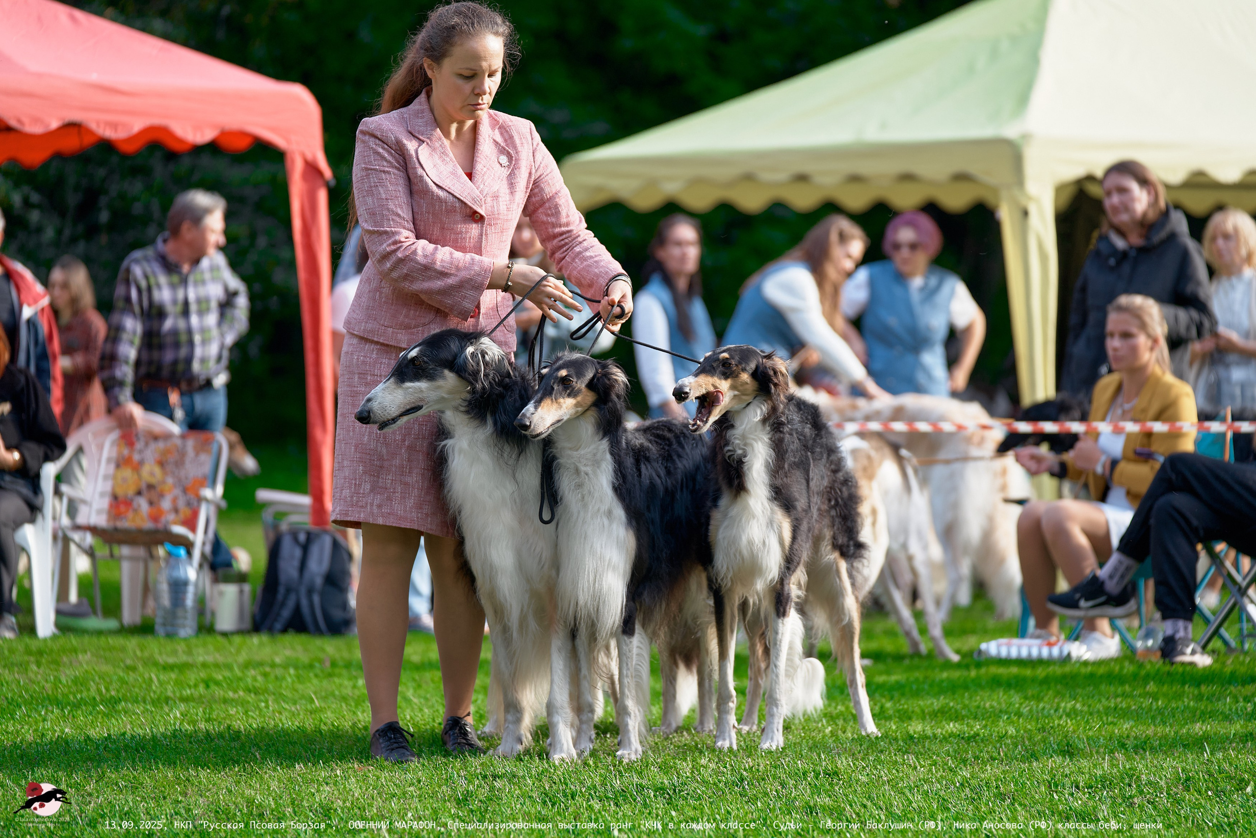 ОСЕННИЙ МАРАФОН | Специализированная выставка породы Русская Псовая Борзая ранг "КЧК в каждом классе"