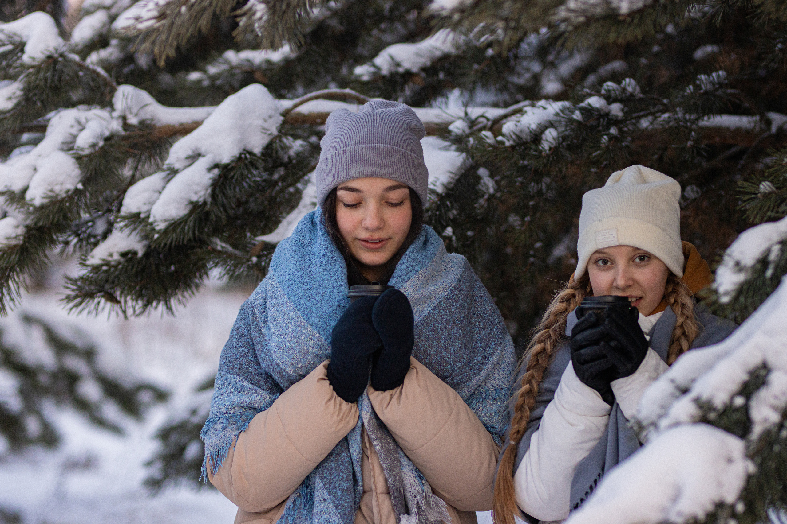Фотосессия в еловом лесу Подружки