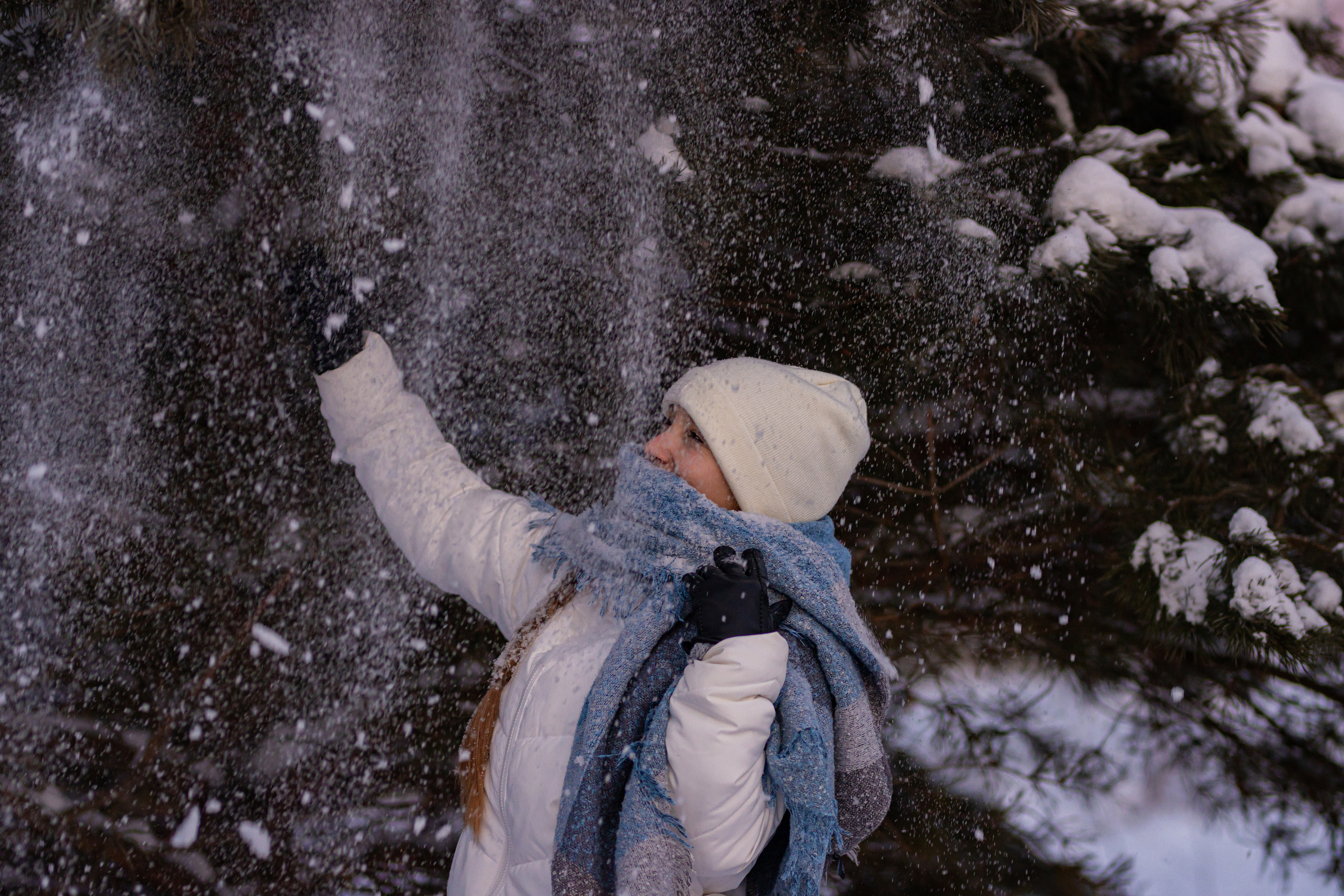 Фотосессия в еловом лесу Подружки