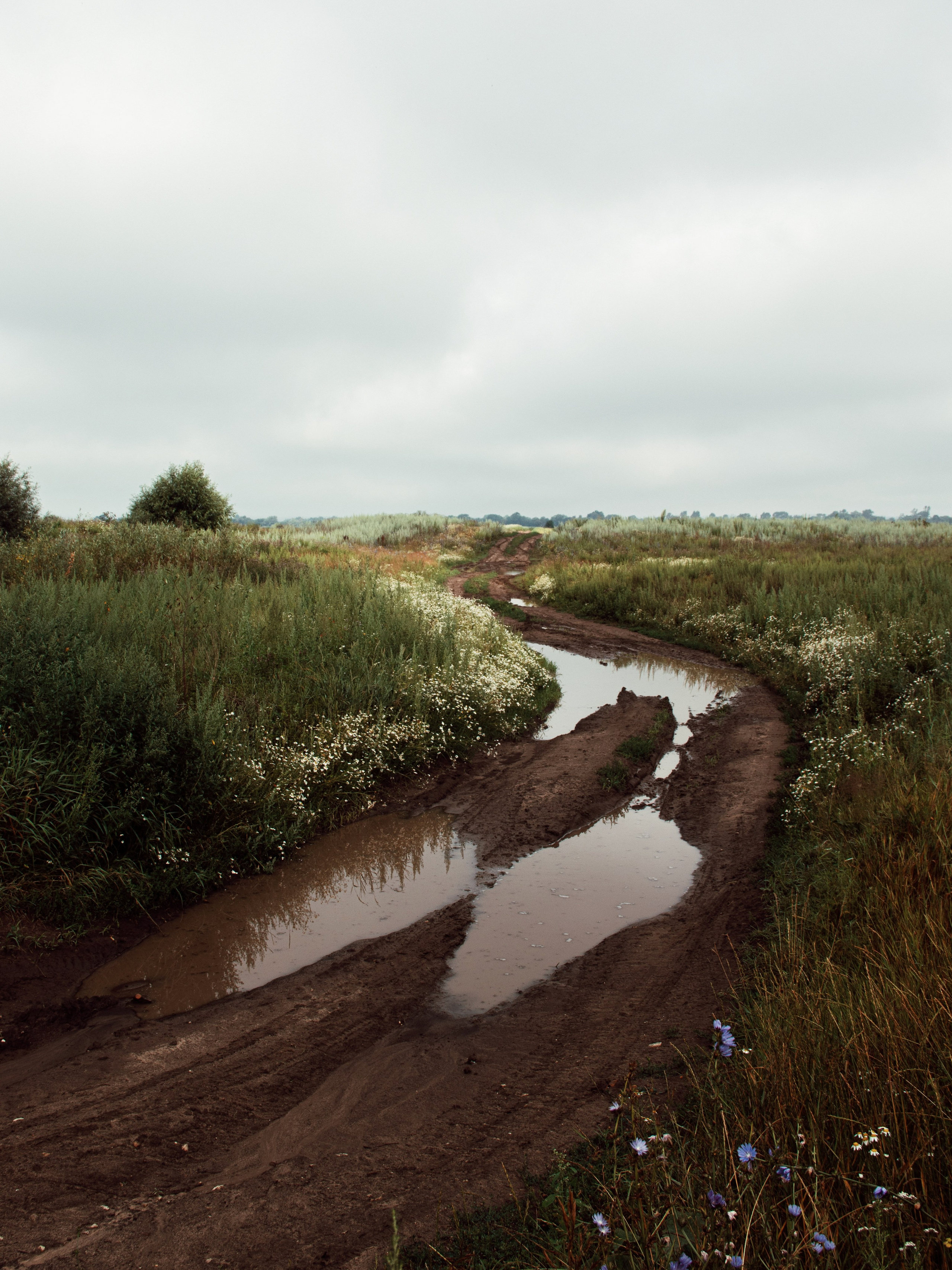 Застывшая утренняя тишина. С любовью, фотохудожник