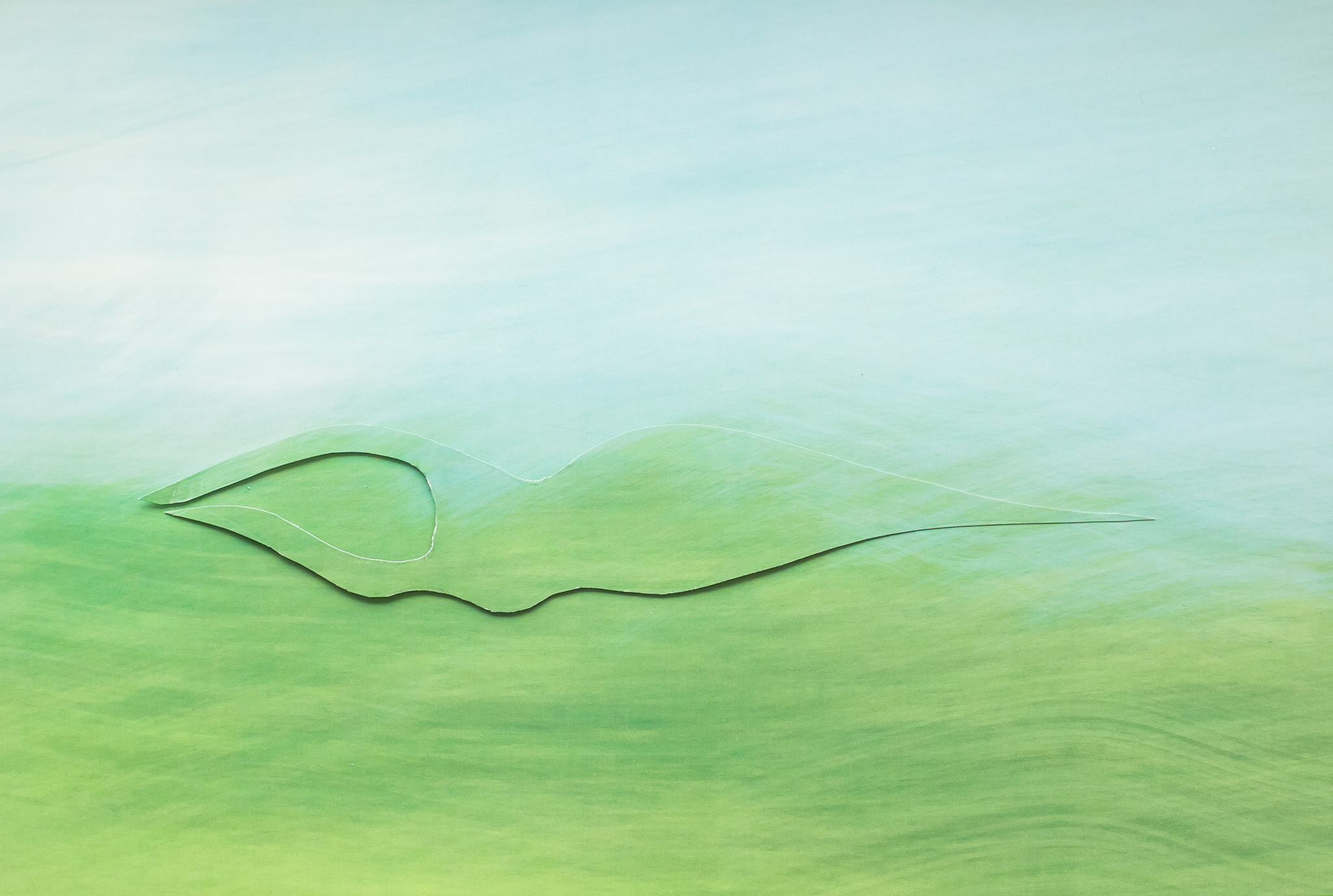 Flow. Mixed-media Artist Irina Sokolova