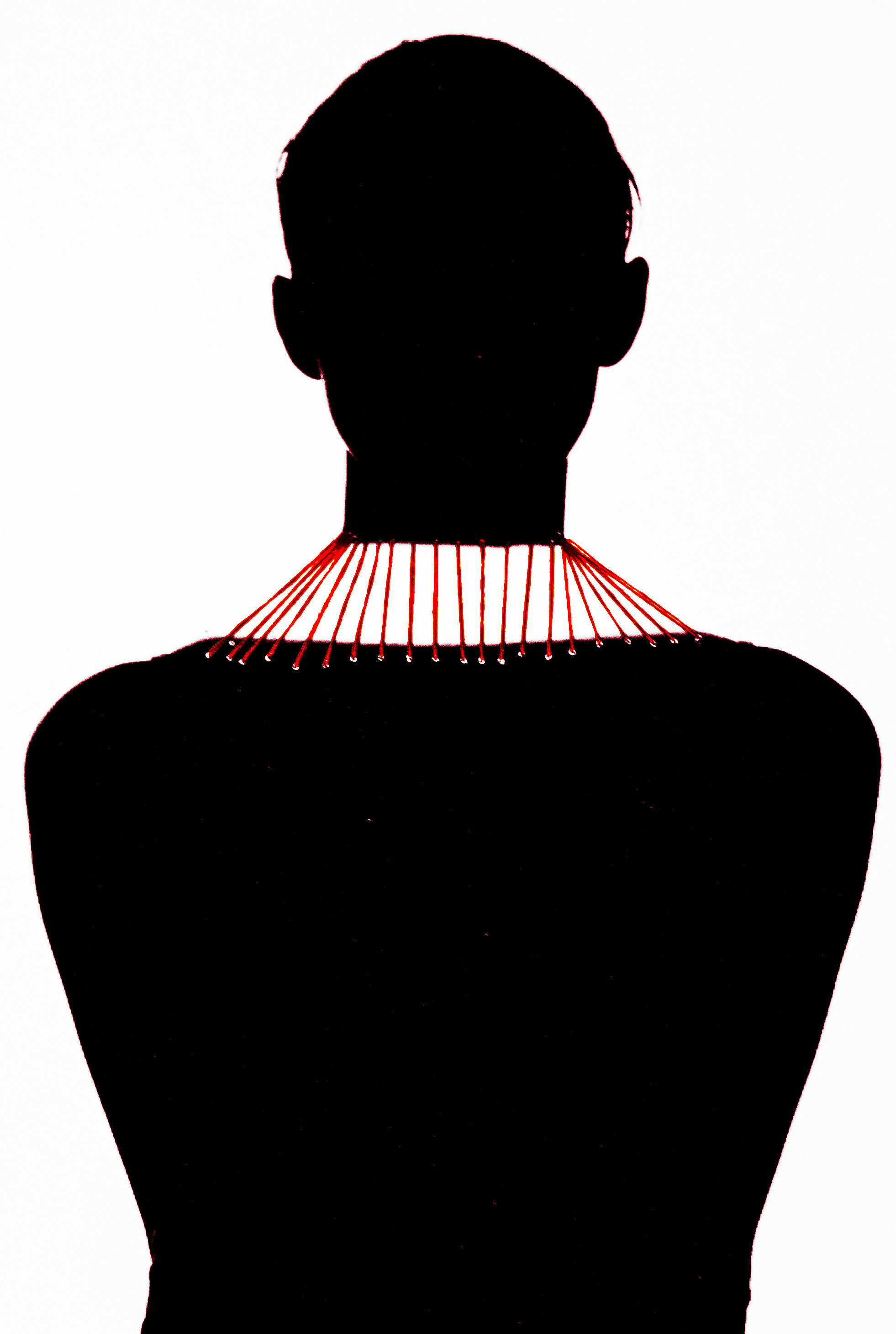 Indentification. Mixed-media Artist Irina Sokolova