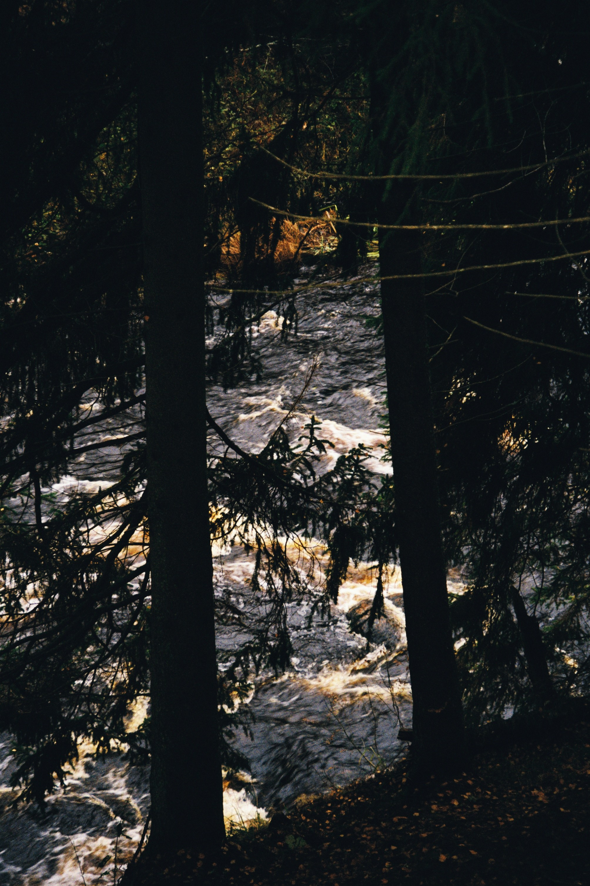 Женские портреты. Алина Арбузова. Фотограф в Санкт-Петербурге
