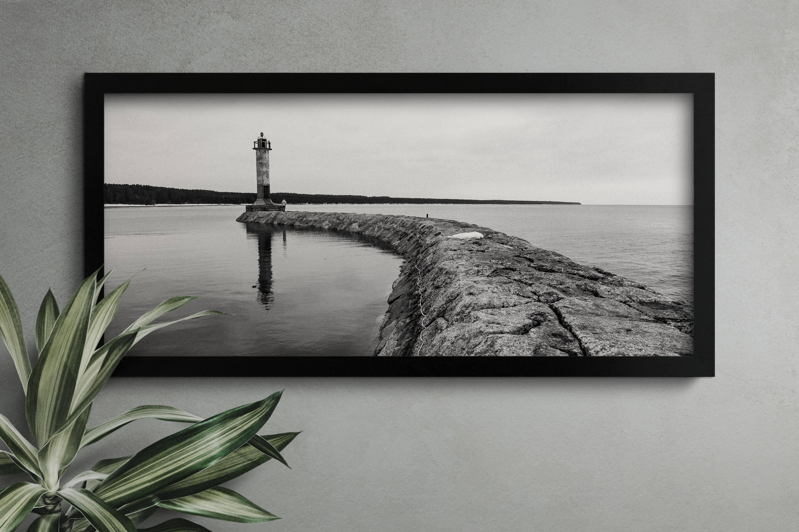 КУПИТЬ ПРИНТЫ. Контент-фотограф в Санкт-Петербурге Александра Бородина