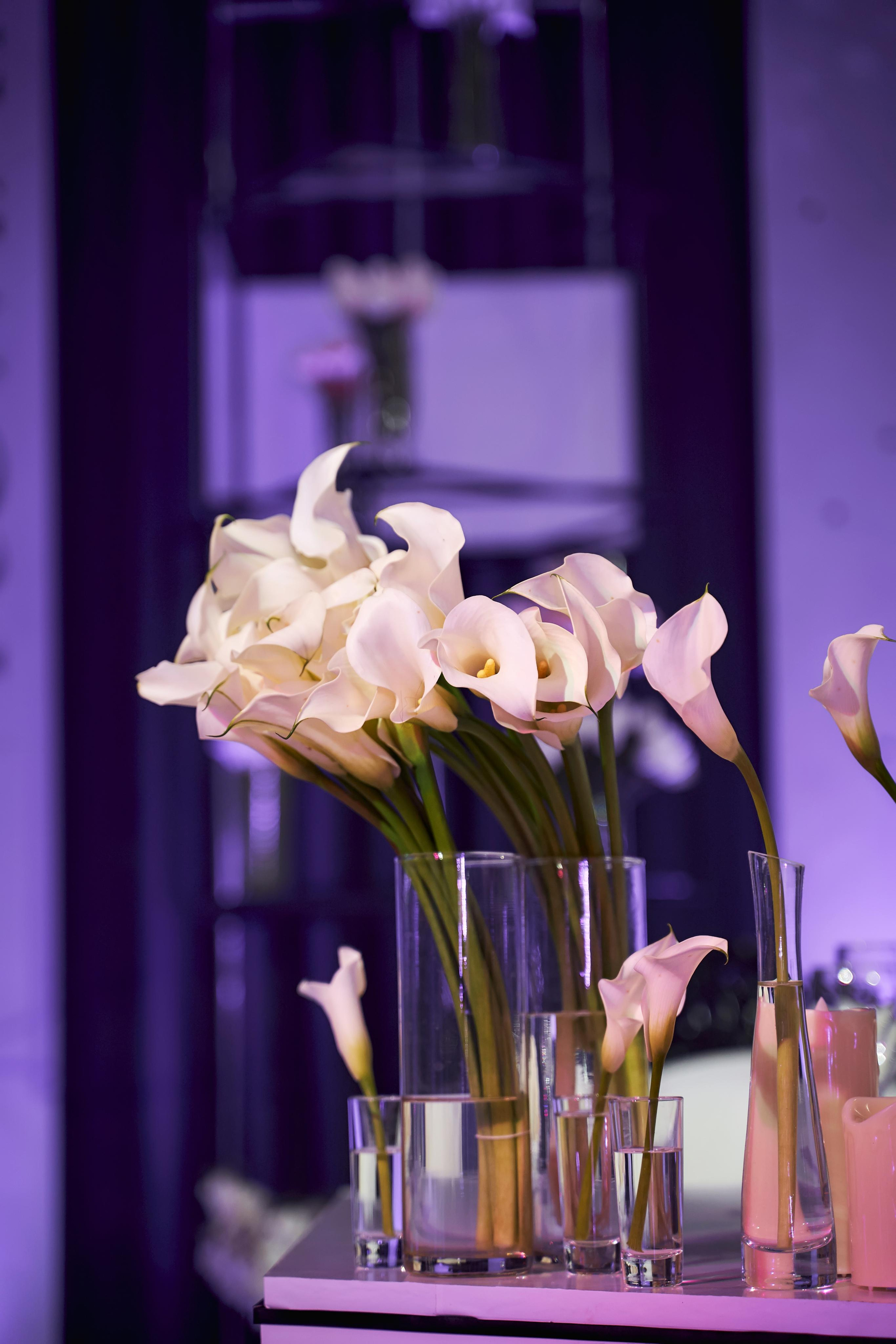 TWINS STUDIO в Пятигорске. Лучшие фотографы и видеографы России. ТВИНС СТУДИО — лучшие свадебные фотографы и видеографы в Краснодаре