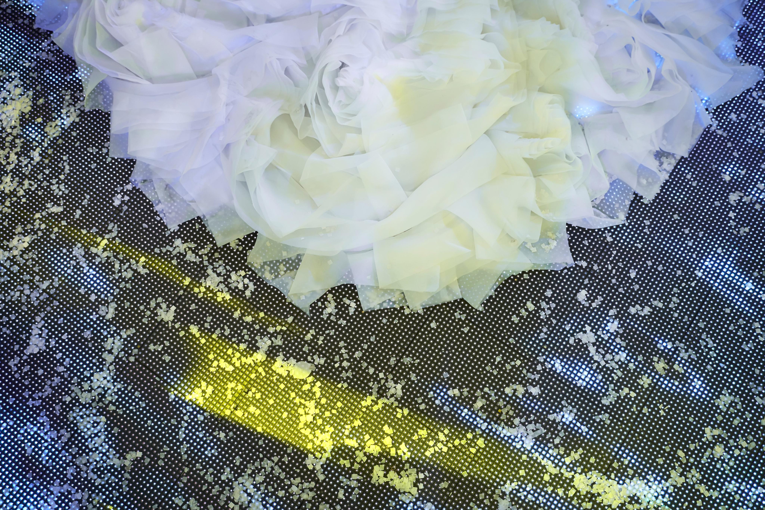 TWINS STUDIO в Пятигорске. Лучшие фотографы и видеографы России. ТВИНС СТУДИО — лучшие свадебные фотографы и видеографы в Краснодаре