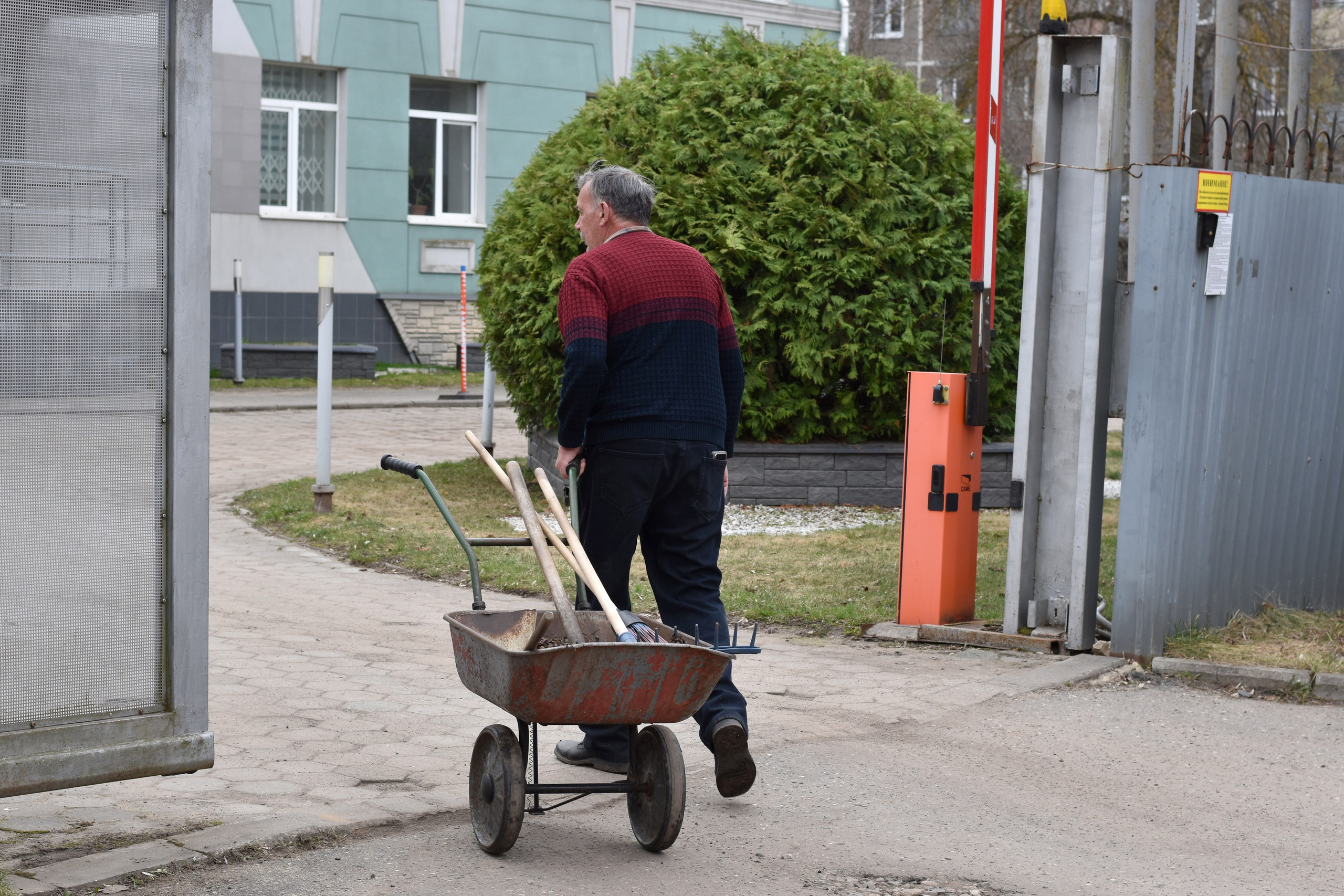 Добрый садовник (в процессе). Микс-медиа художница Надежда Пророкова