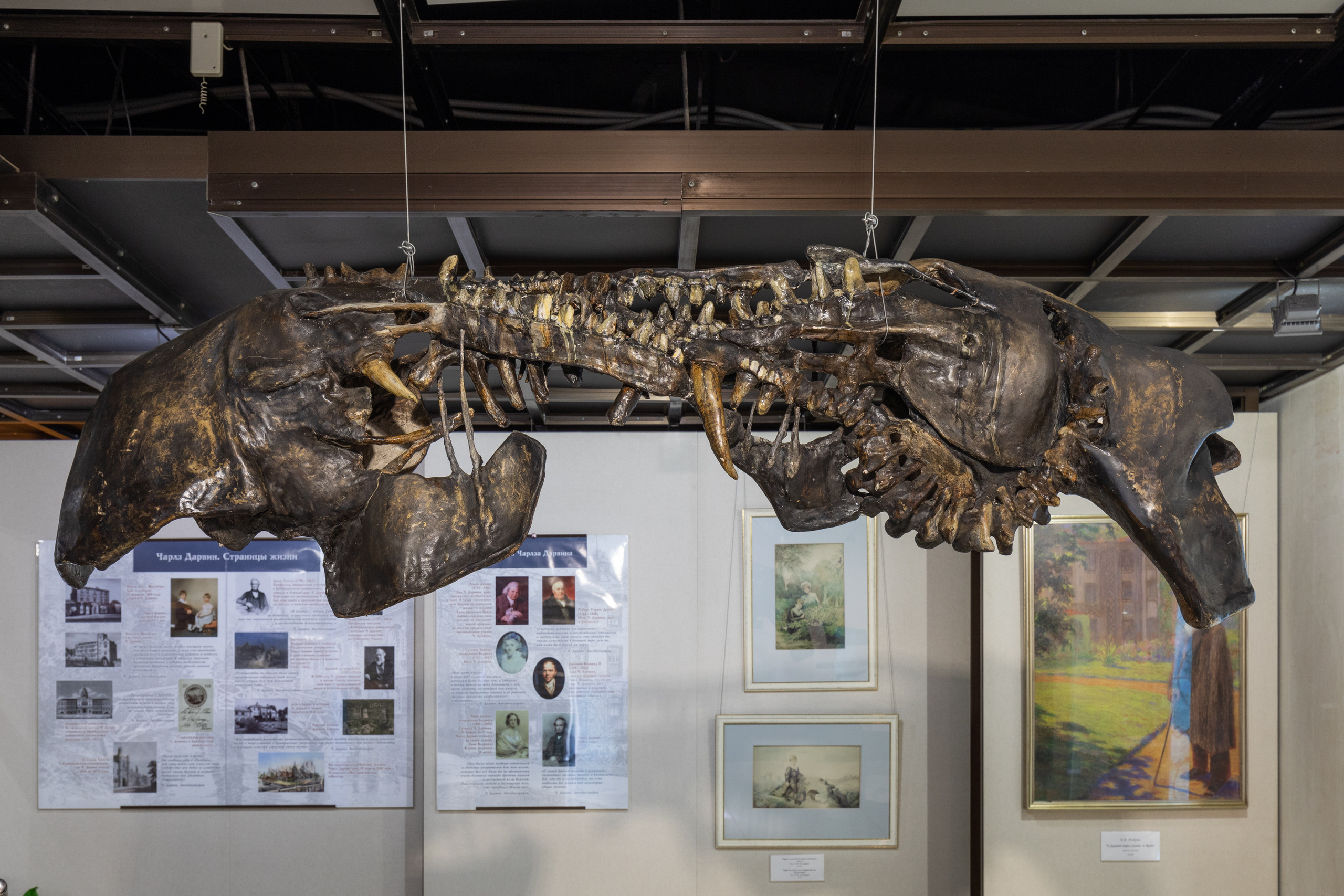 Museum of artificial history. Jane Efremova, artist and curator based in Belgrade, Serbia