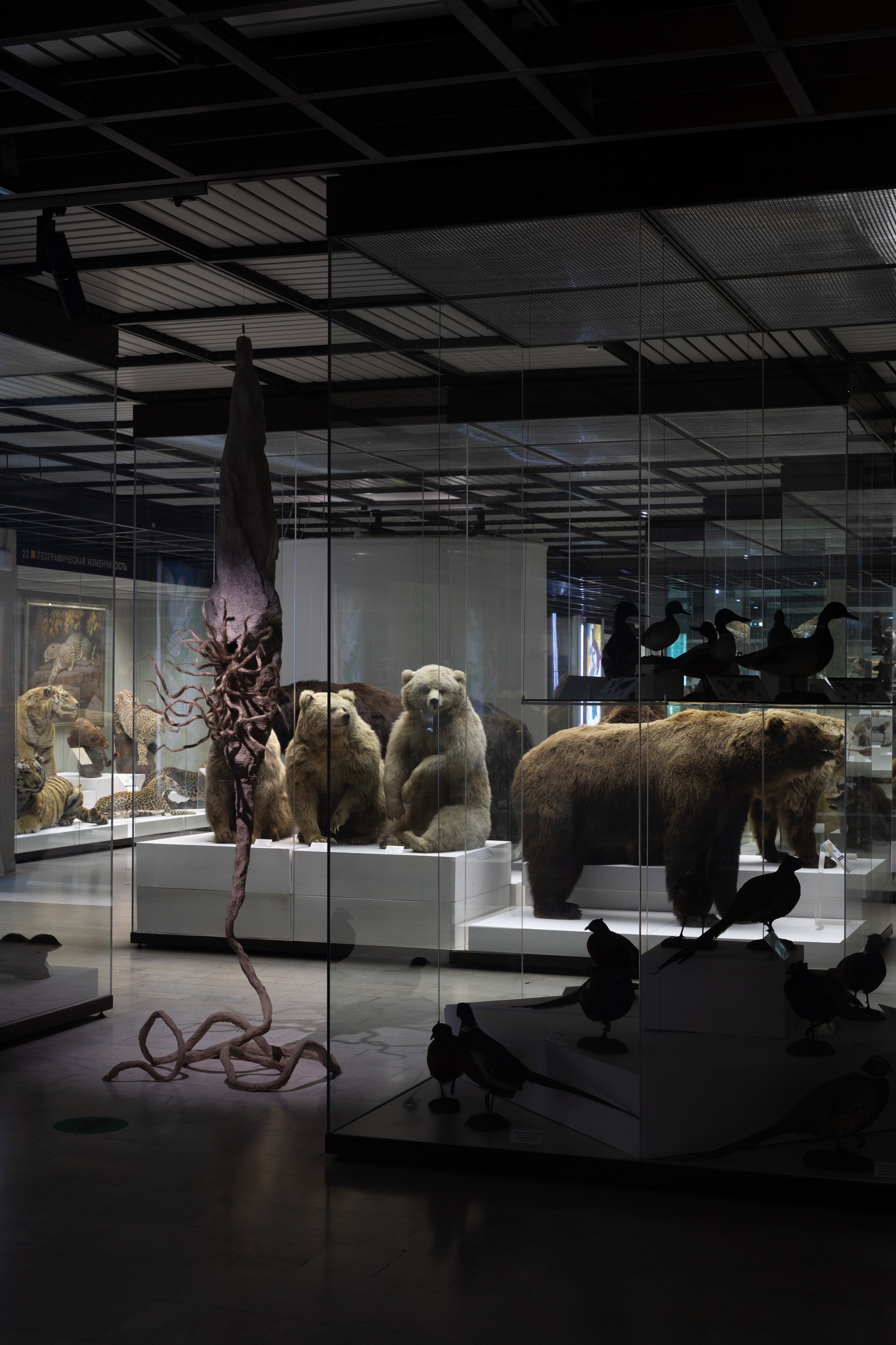 Museum of artificial history. Jane Efremova, artist and curator based in Belgrade, Serbia