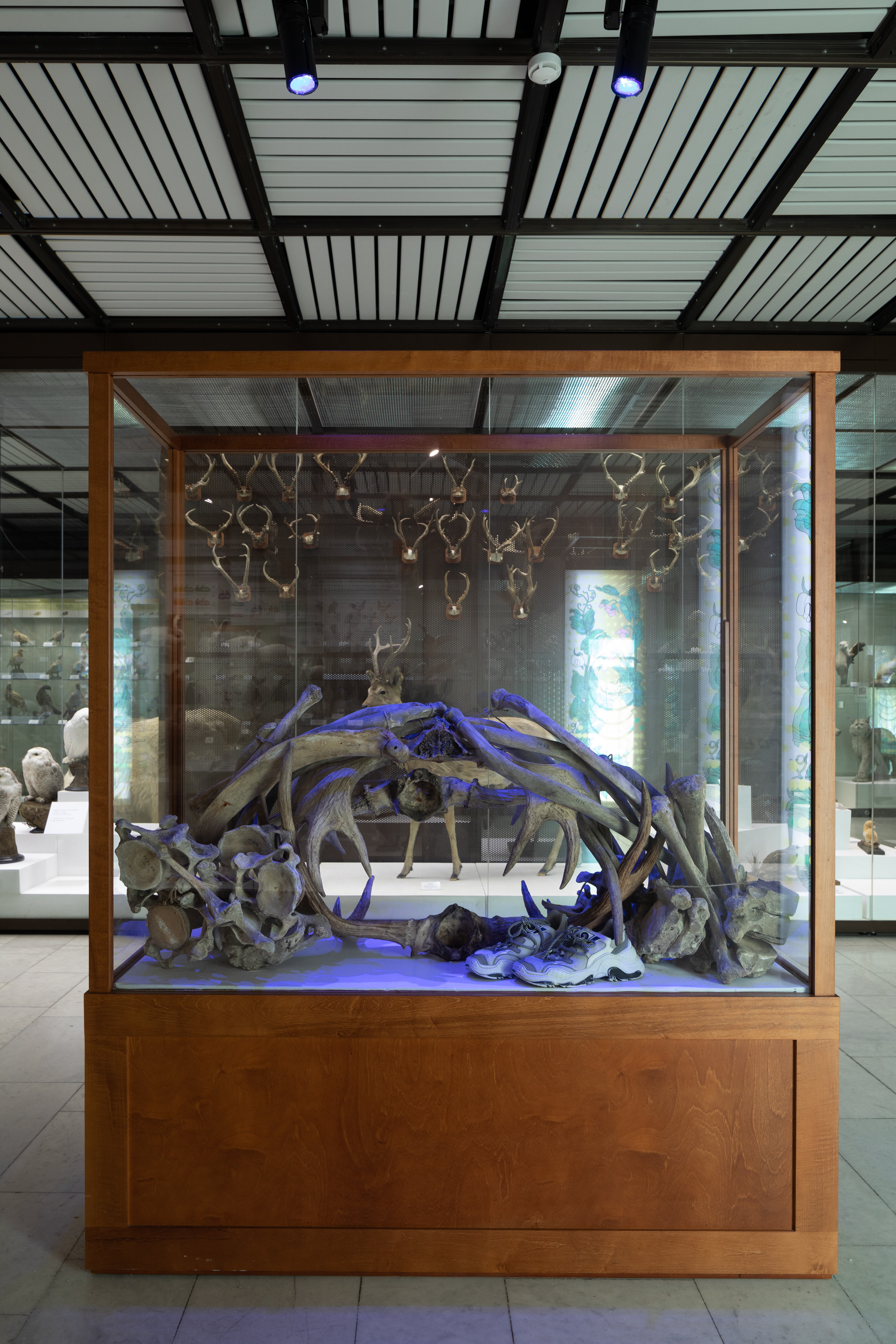 Museum of artificial history. Jane Efremova, artist and curator based in Belgrade, Serbia