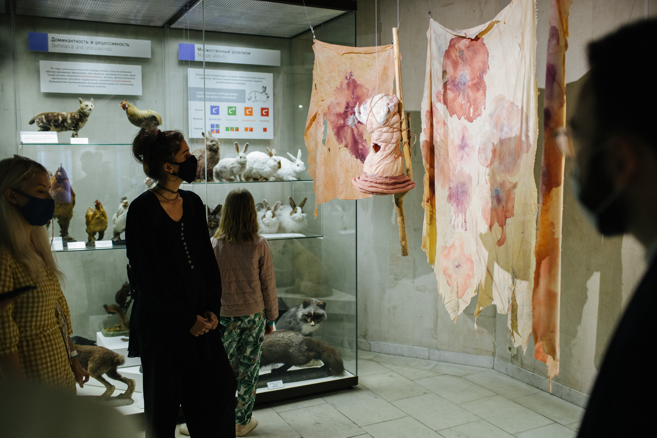 Museum of artificial history. Jane Efremova, artist and curator based in Belgrade, Serbia