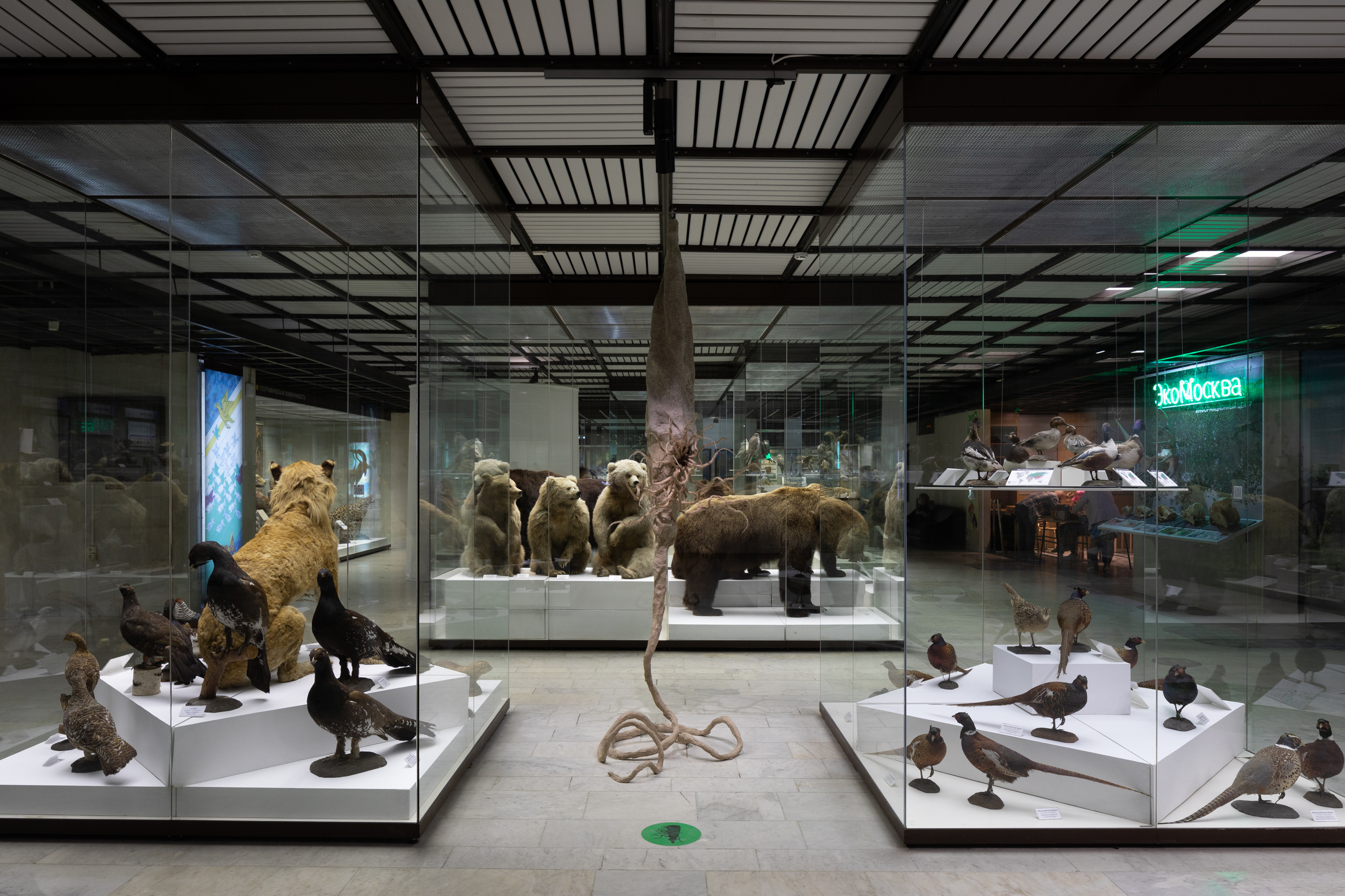 Museum of artificial history. Jane Efremova, artist and curator based in Belgrade, Serbia