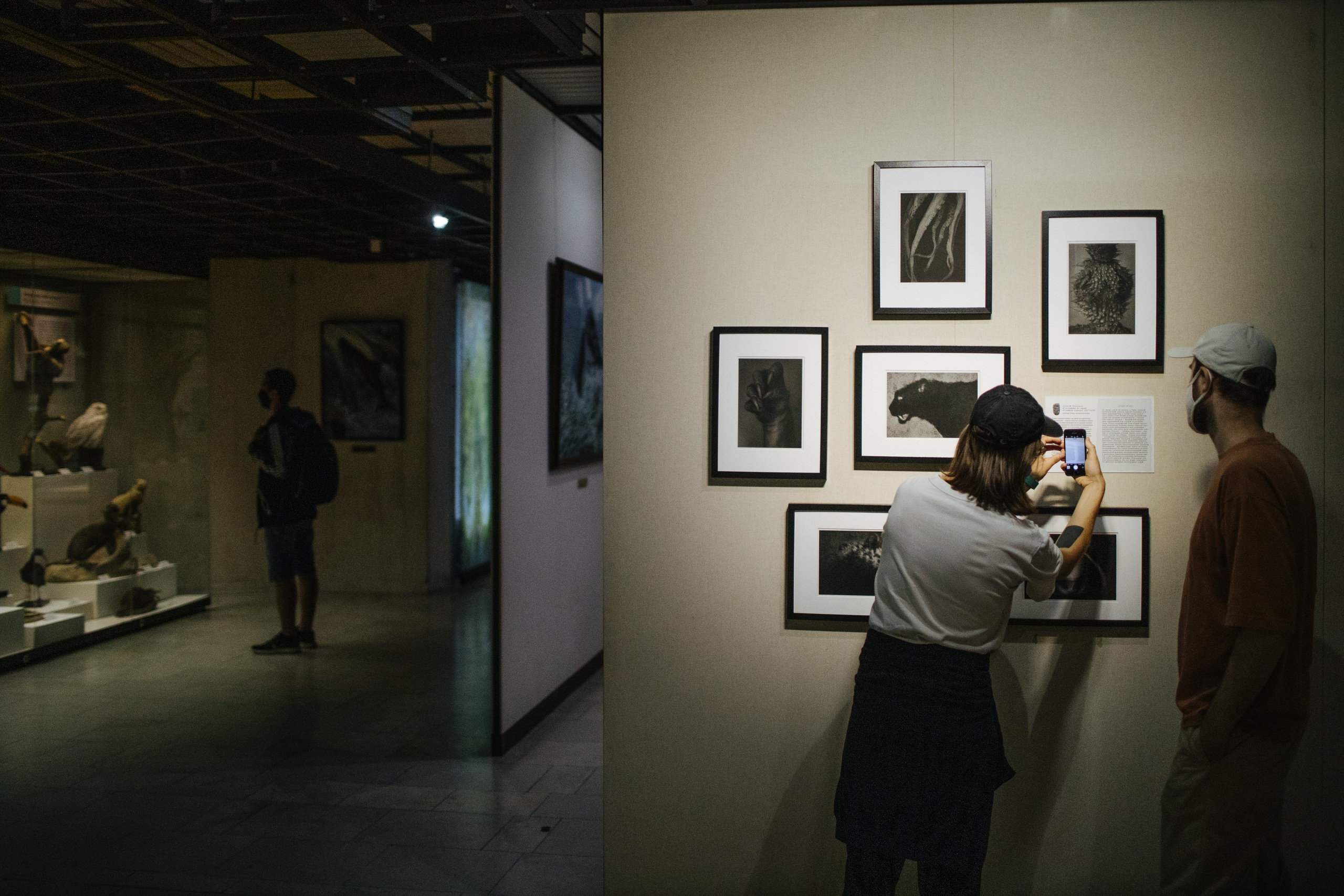 Museum of artificial history. Jane Efremova, artist and curator based in Belgrade, Serbia