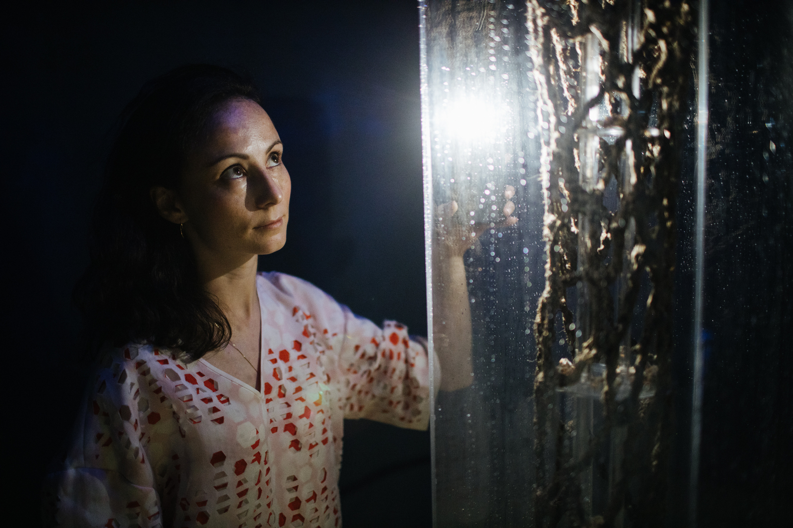 Museum of artificial history. Jane Efremova, artist and curator based in Belgrade, Serbia