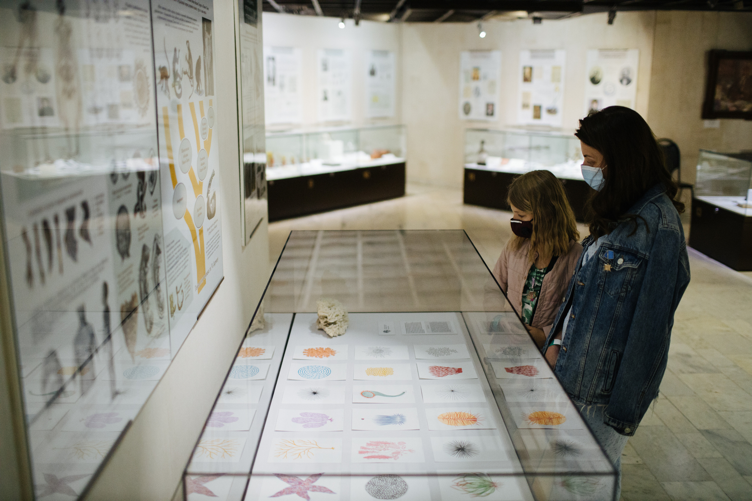 Museum of artificial history. Jane Efremova, artist and curator based in Belgrade, Serbia