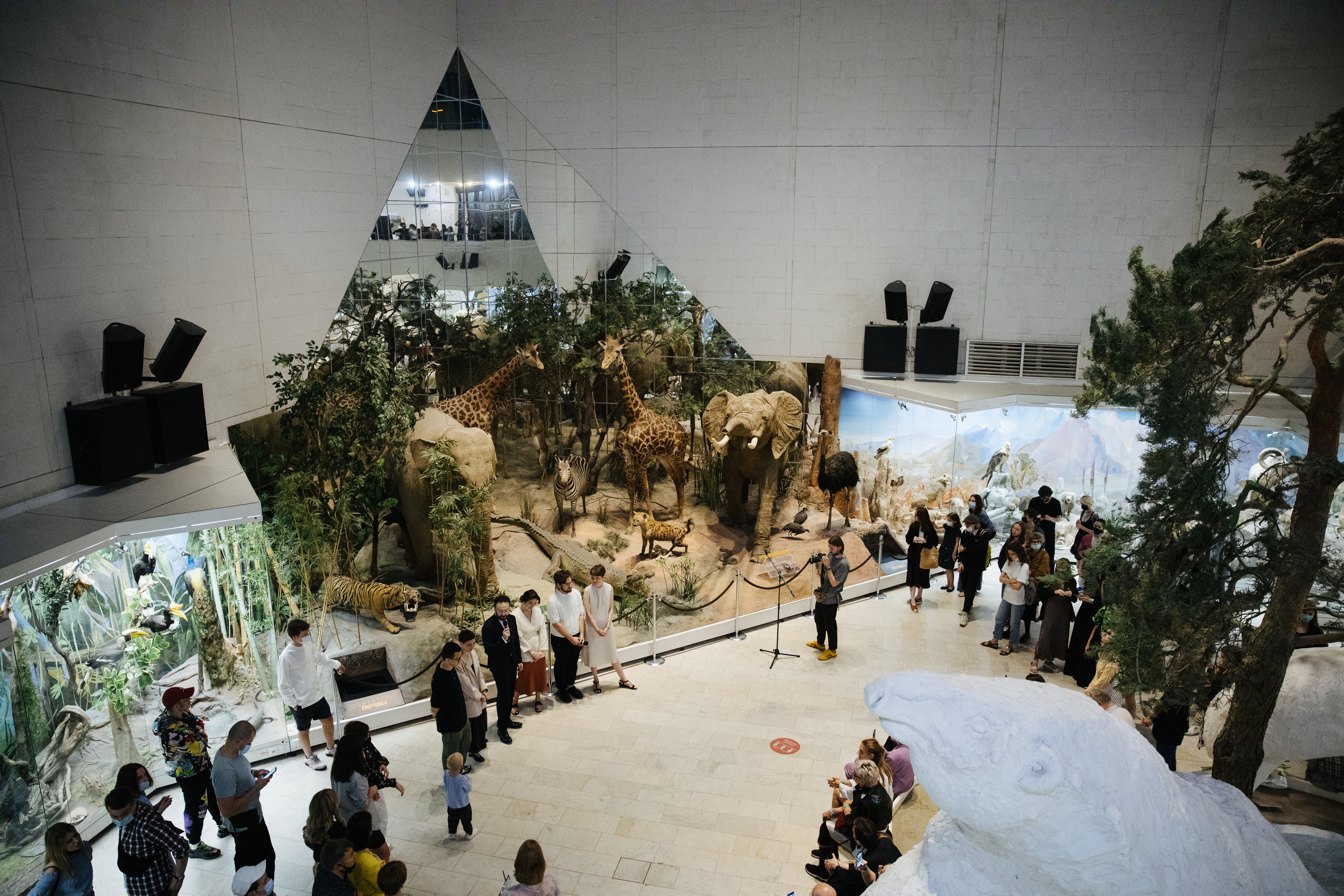 Museum of artificial history. Jane Efremova, artist and curator based in Belgrade, Serbia