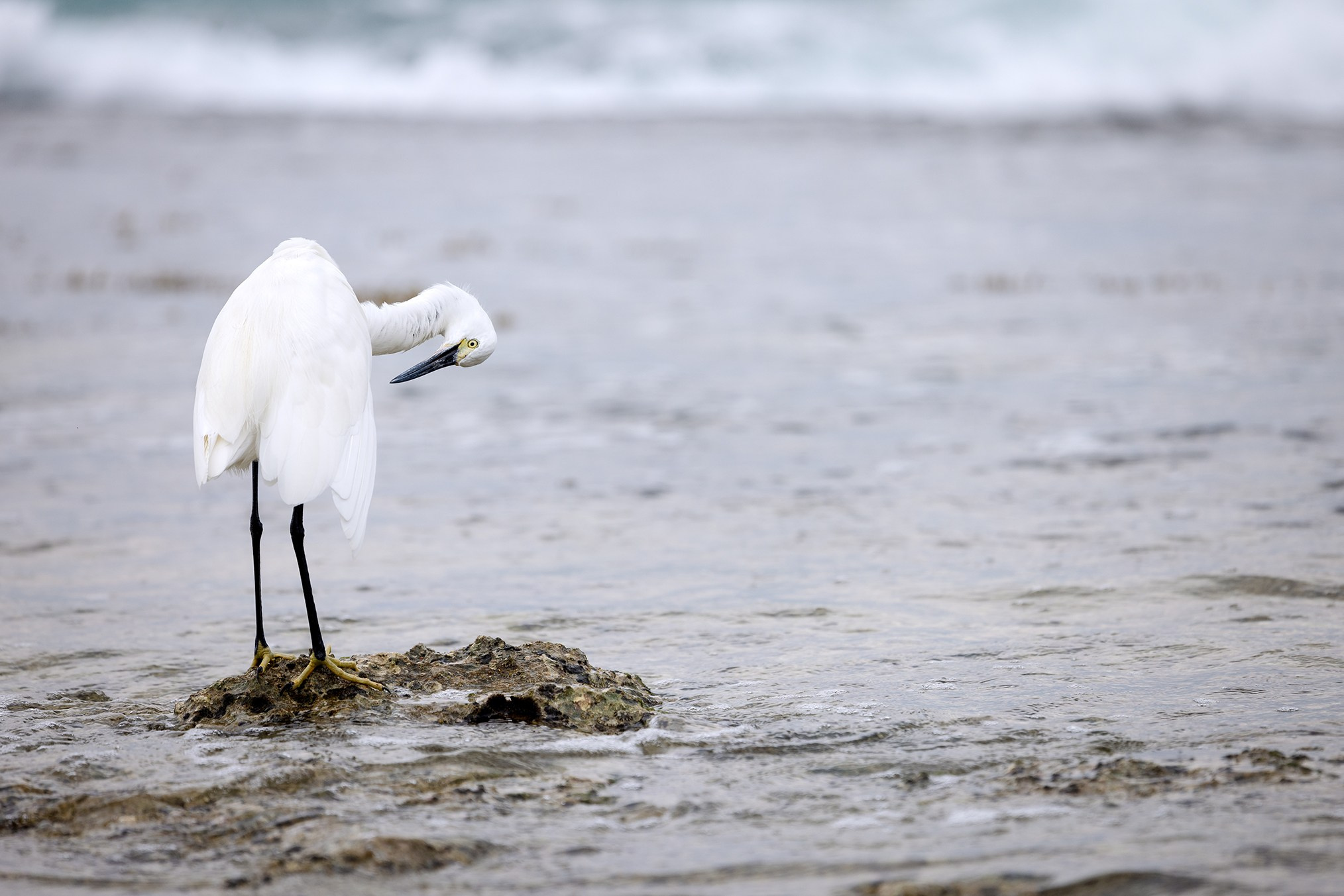 Sri-Lanka. High-quality interior photos for your home, office, hotel