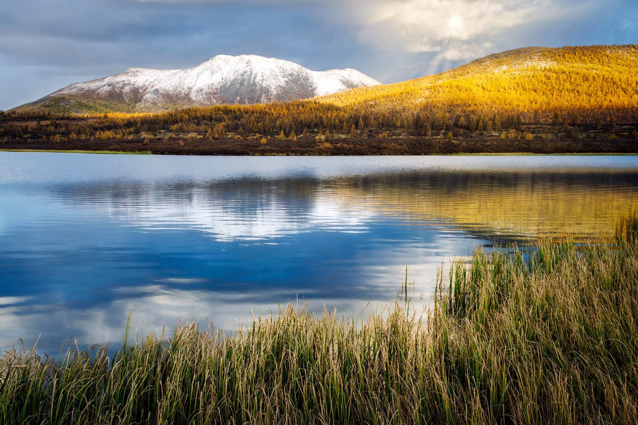 Сибирь. High-quality interior photos for your home, office, hotel