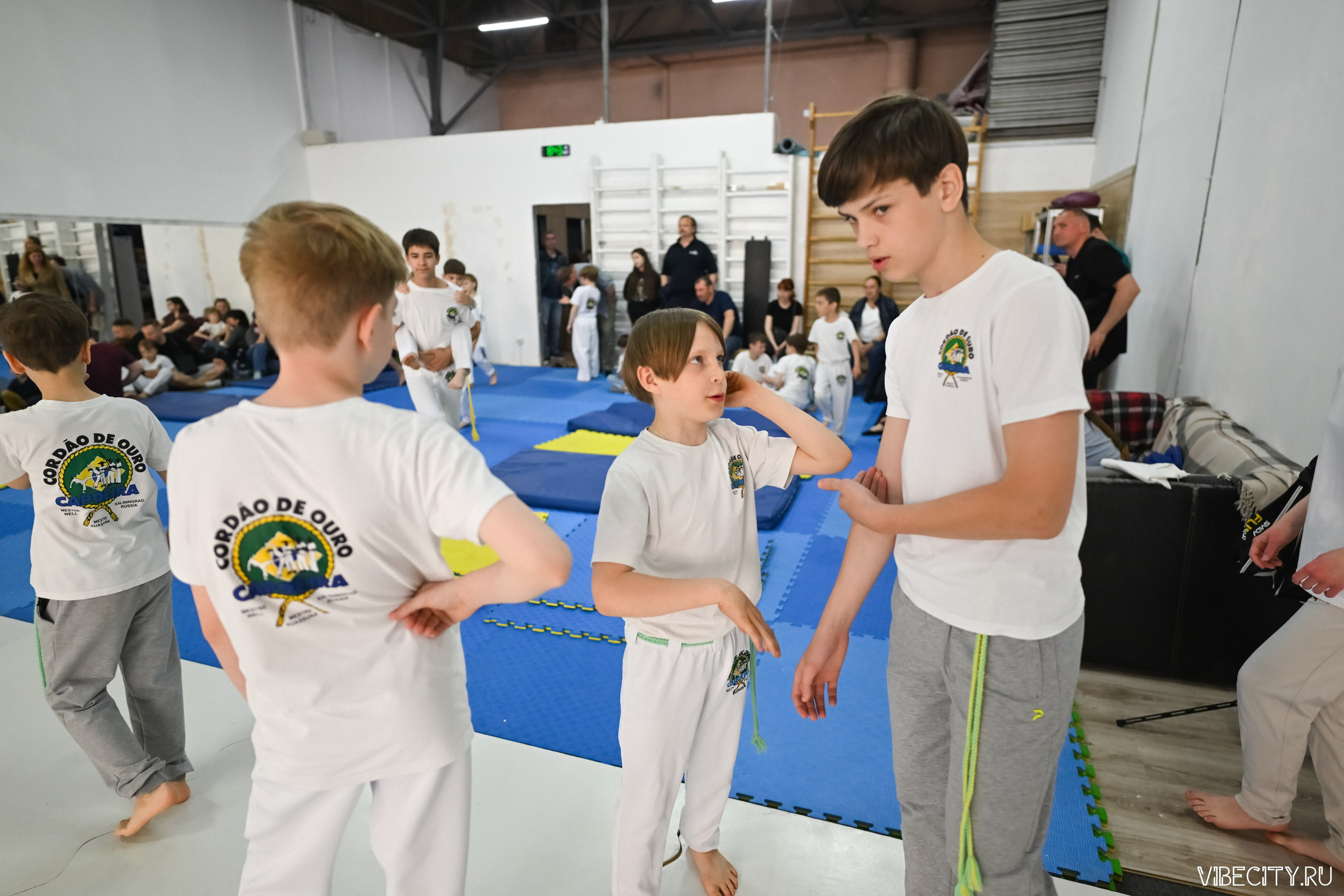 Capoeira: 4-е batizado e Troca de cordao. VIBECITY.RU Вайб Сити Ру Фоторепортажи Фотоотчеты Калининград