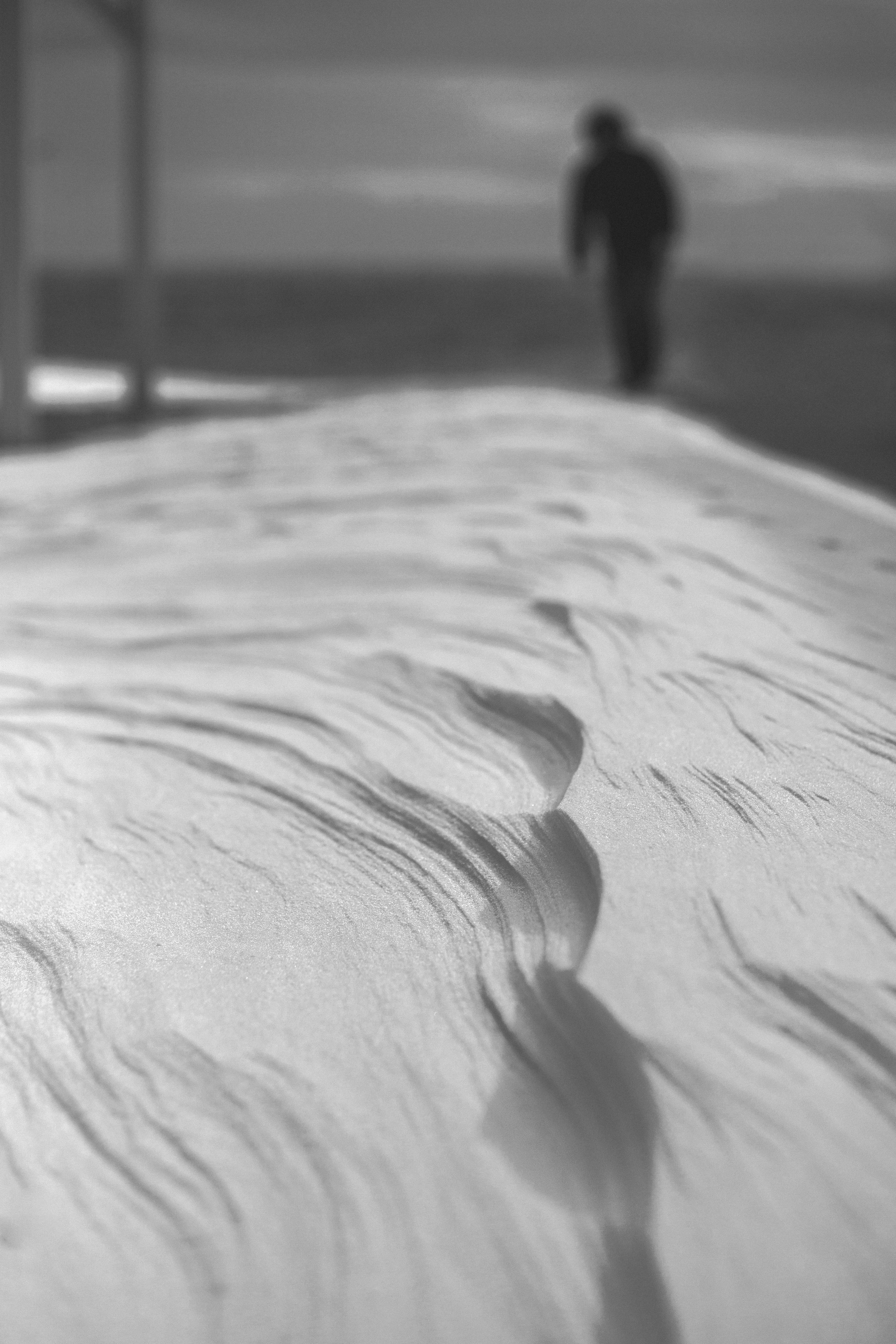 Улицы Люди на улицах Природа Животные — фотограф Оля Волчкова