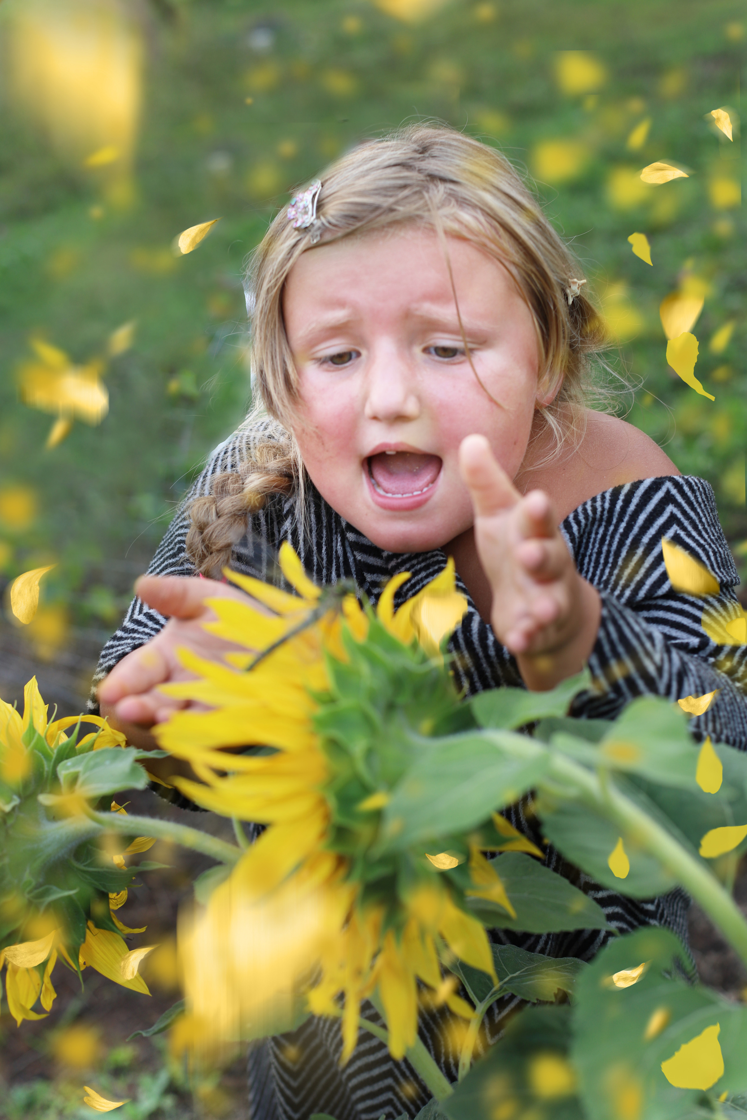 Коротко о главном