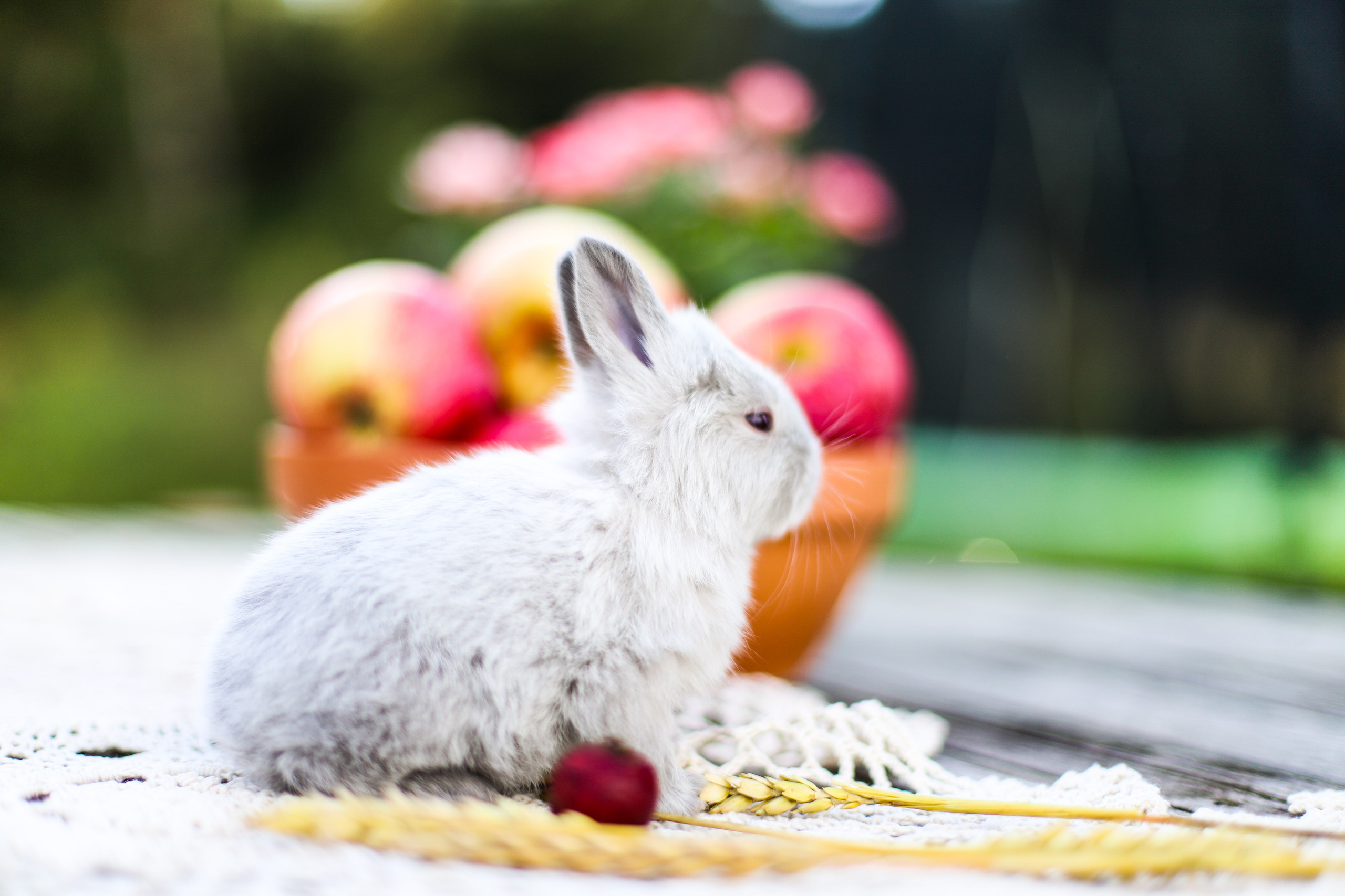 Фотосессия для детей. Жми на фото и посмотри фотоисторию. Фотограф на ранчо, трансформационные фотосессии