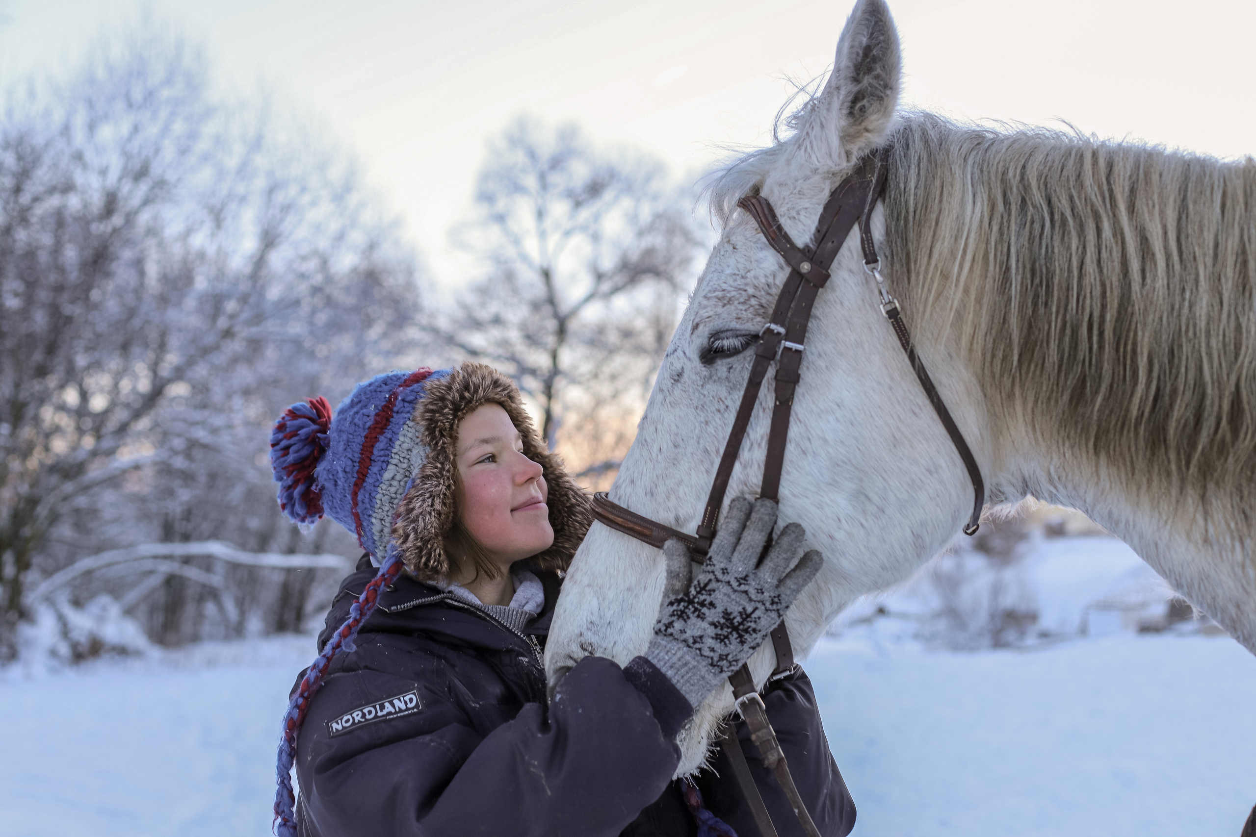 Коротко о главном