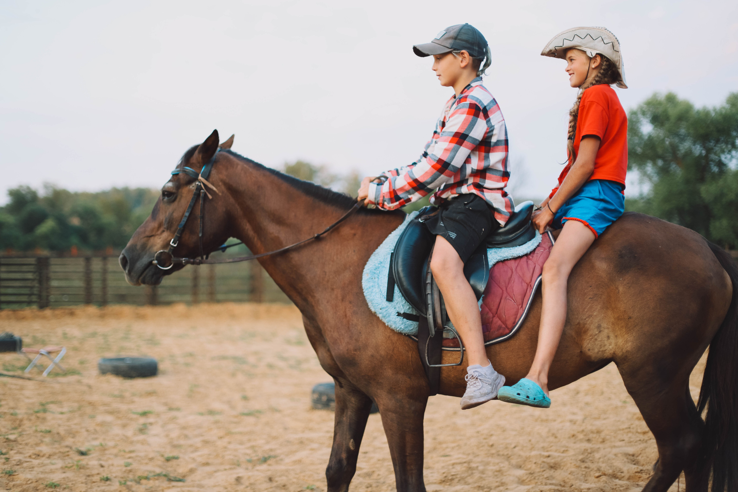 Коротко о главном