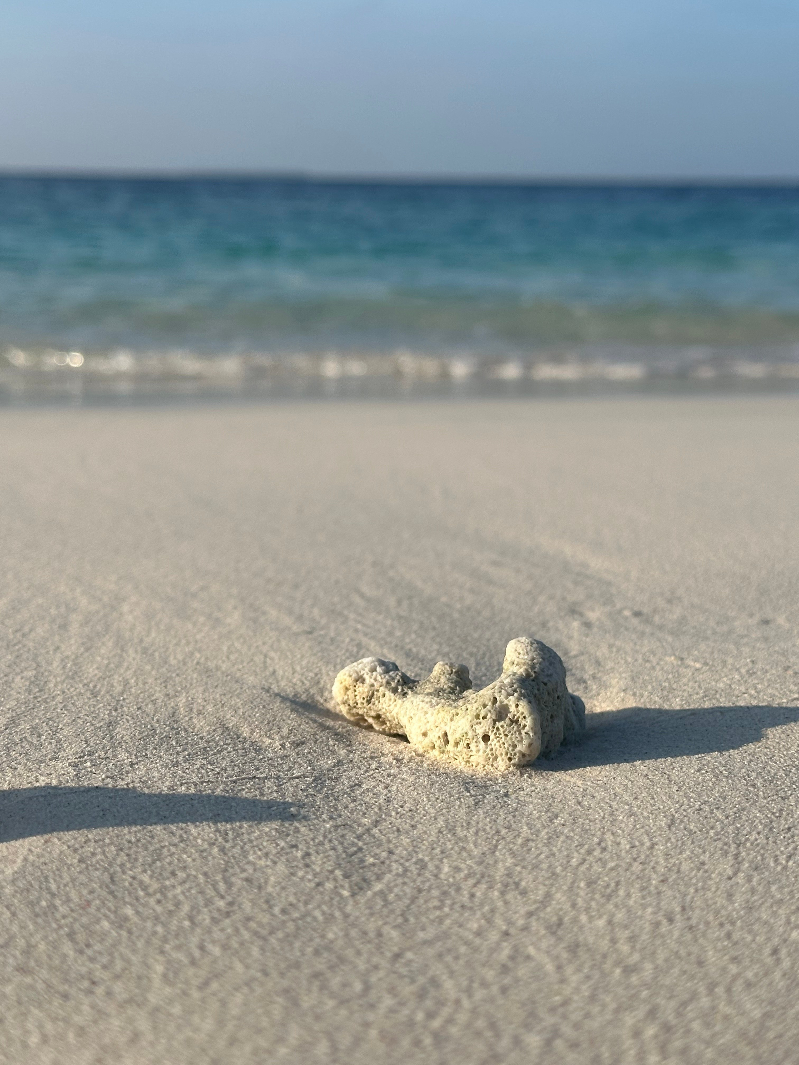 Вода. Эстет в моменте