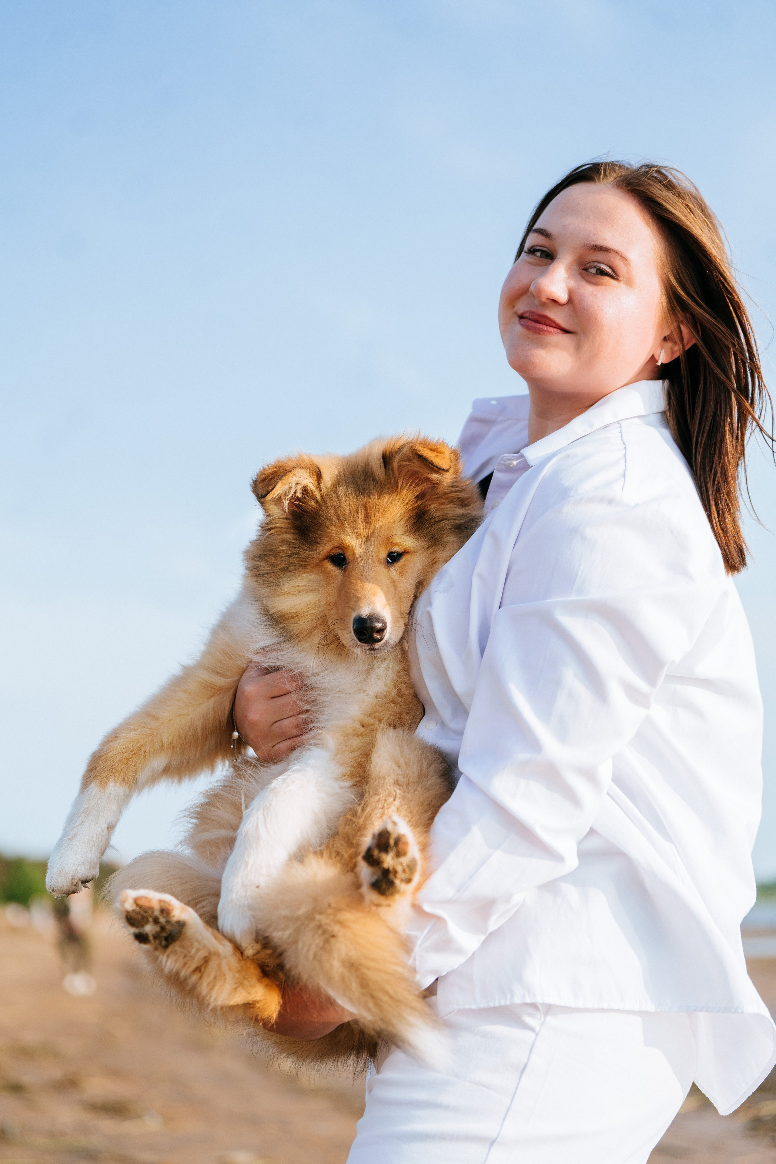Фотосессия со щенками колли. Фотограф анималист в Спб недорого Олеся Майорова